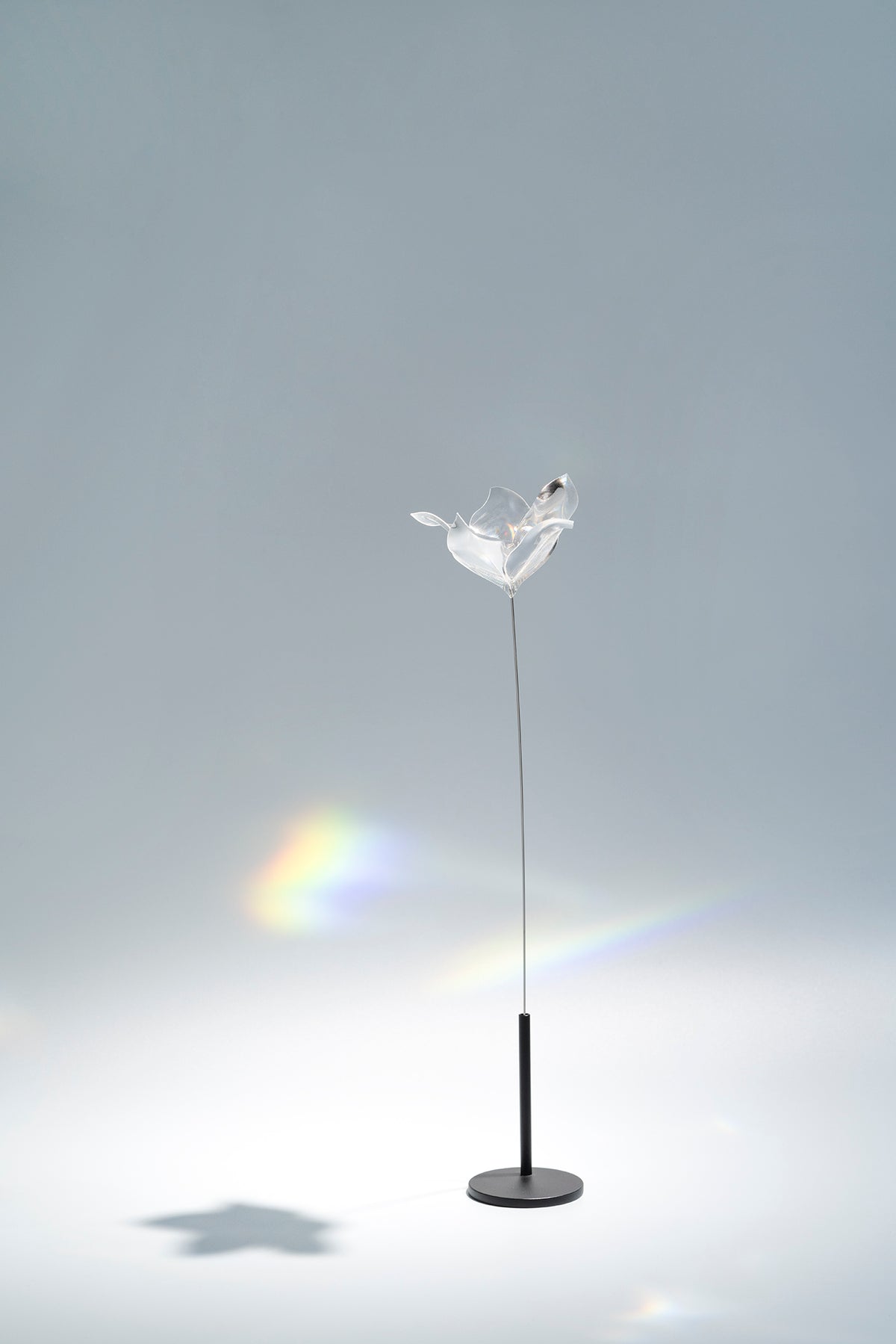 Prism Flower #1 / Kikyo