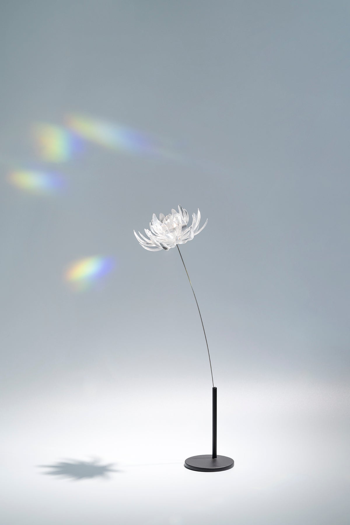Prism Flower #1 / Wakiku