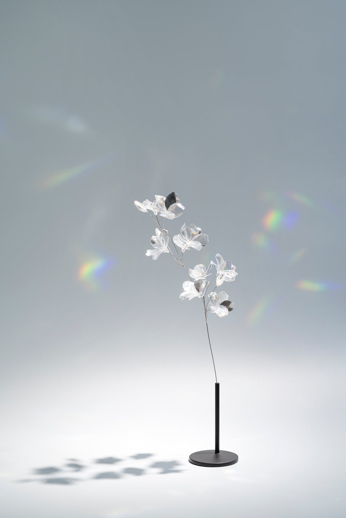 Prism Flower / Sakura-Ⅰ