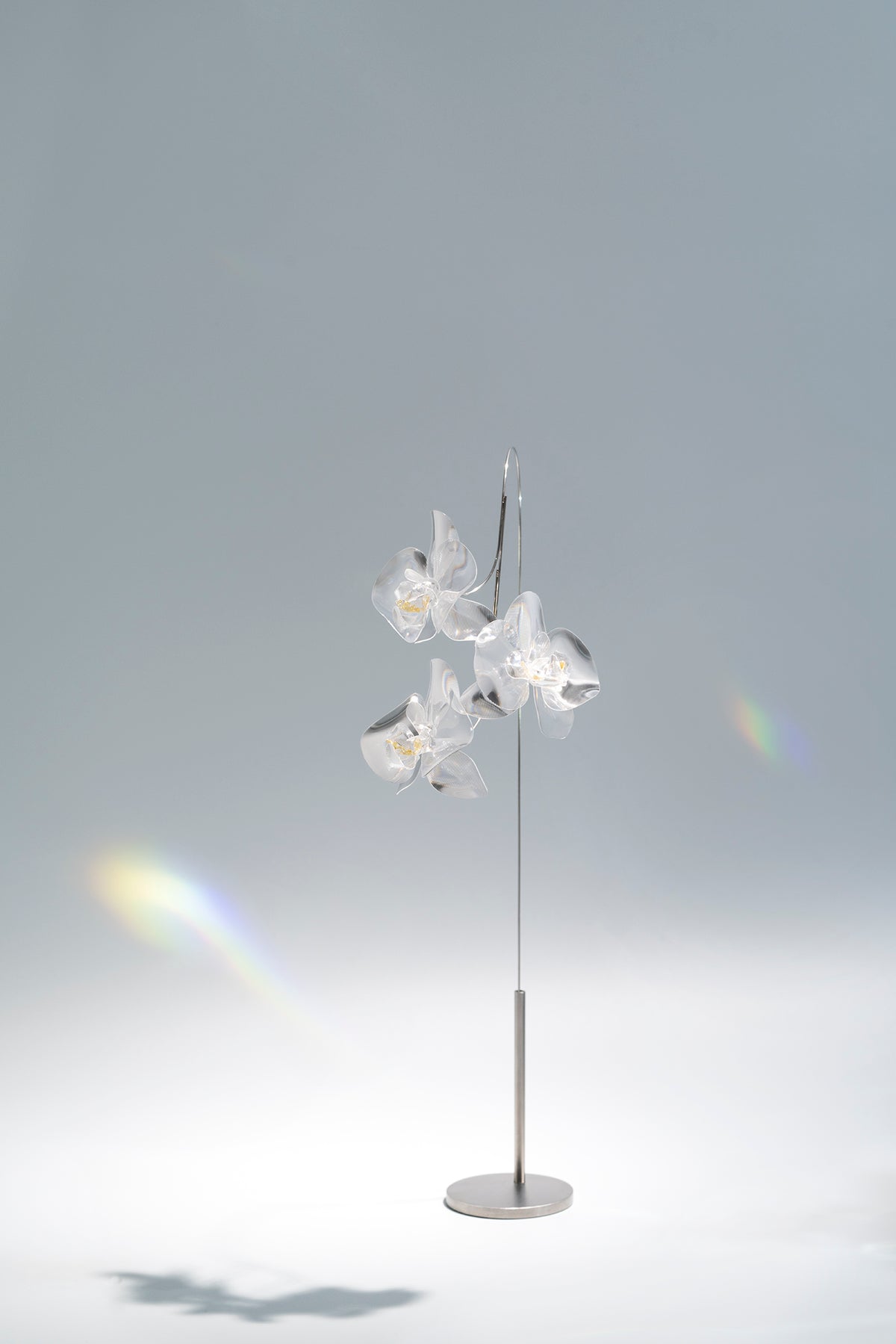 Prism Flower #1 / Kocho-ran 3