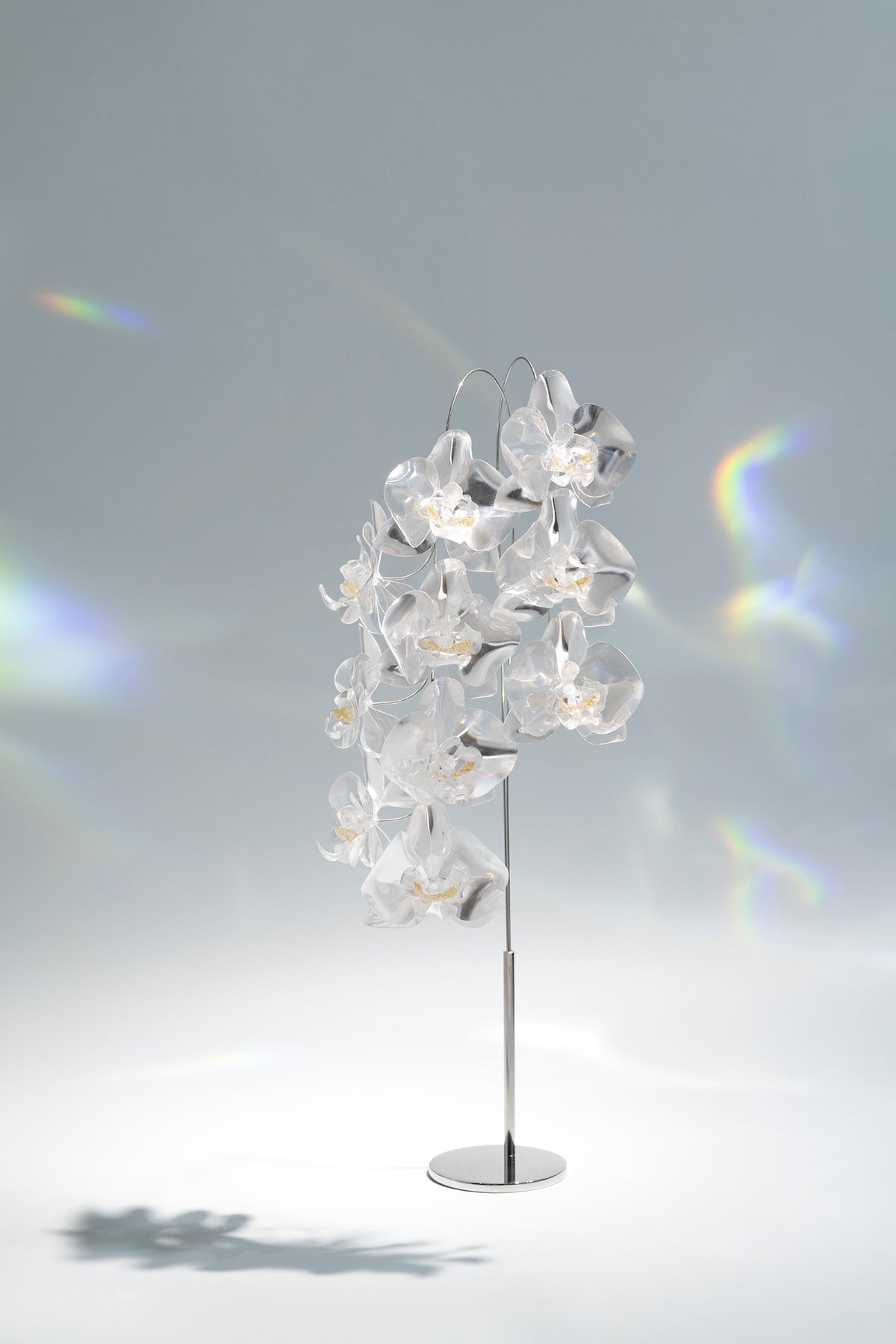 Prism Flower #3 / Set-No.02　Kocho-ran + Metal Vase L