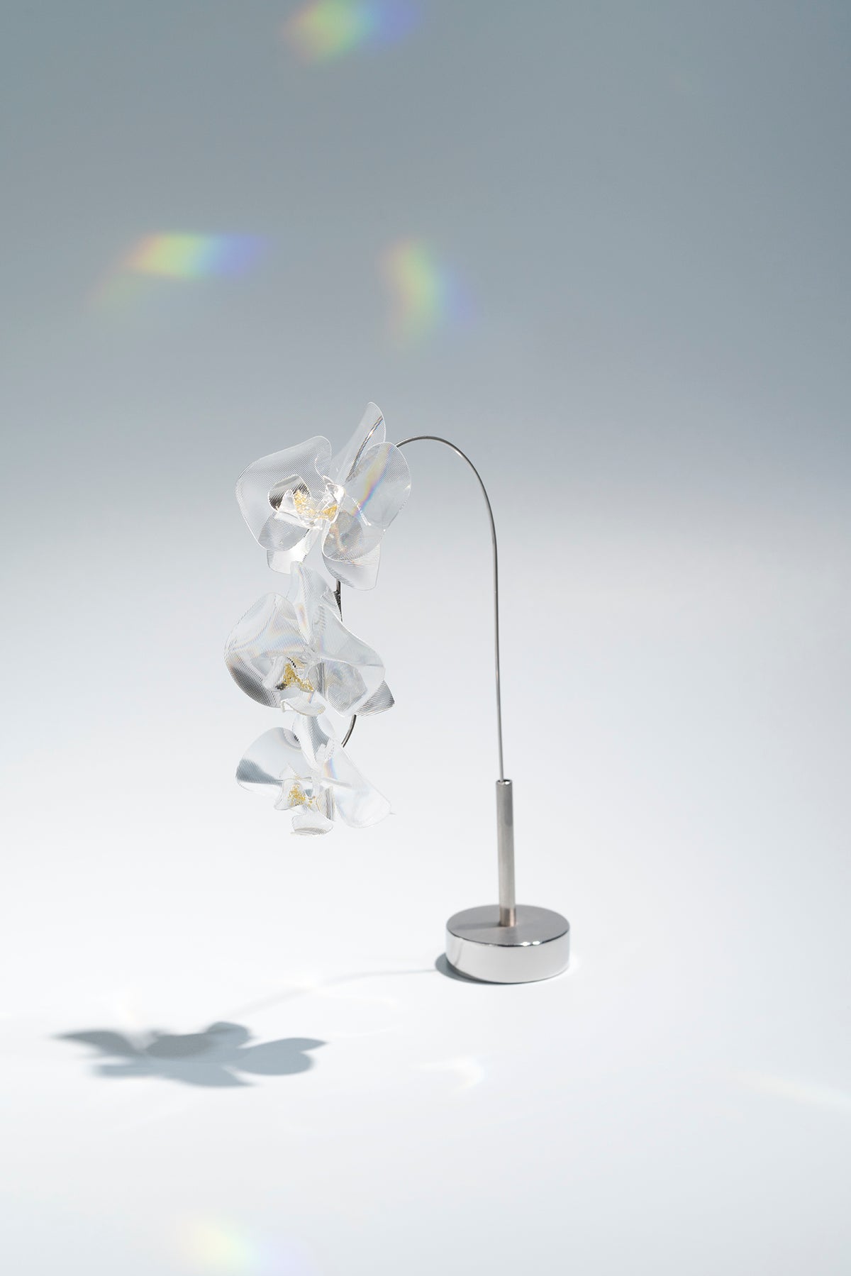 Prism Flower #1 / Kocho-ran 3 (S)