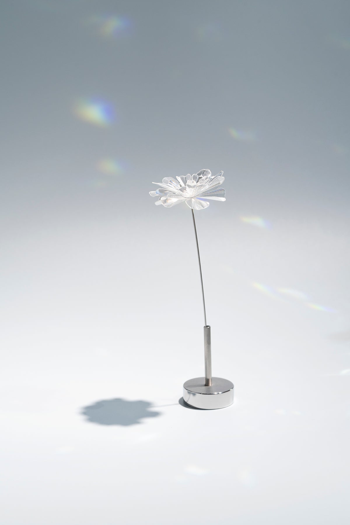 Prism Flower #1 / Marigold (S)
