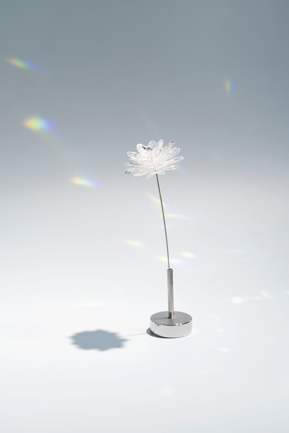 Prism Flower #1 / Kiku (S)