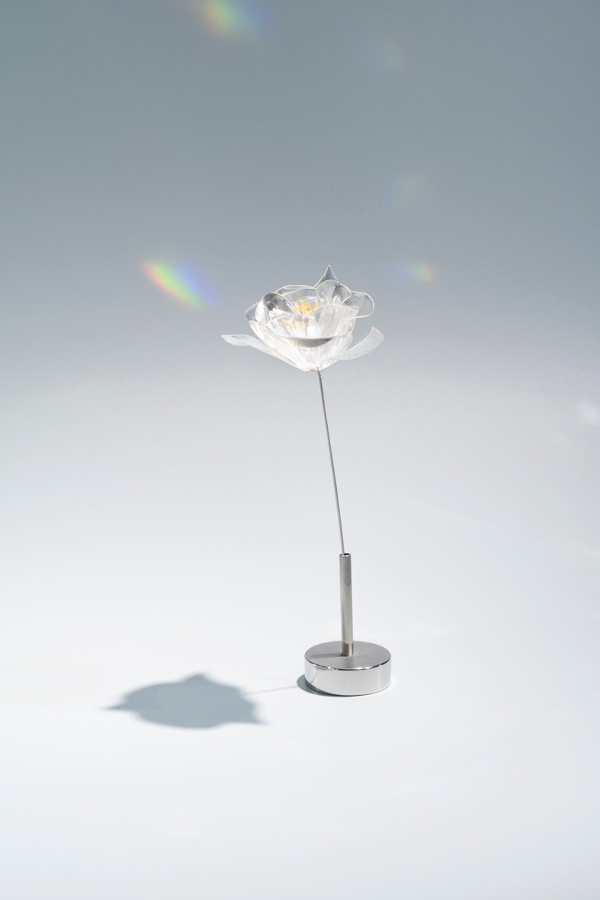Prism Flower #1 / Camellia (S)