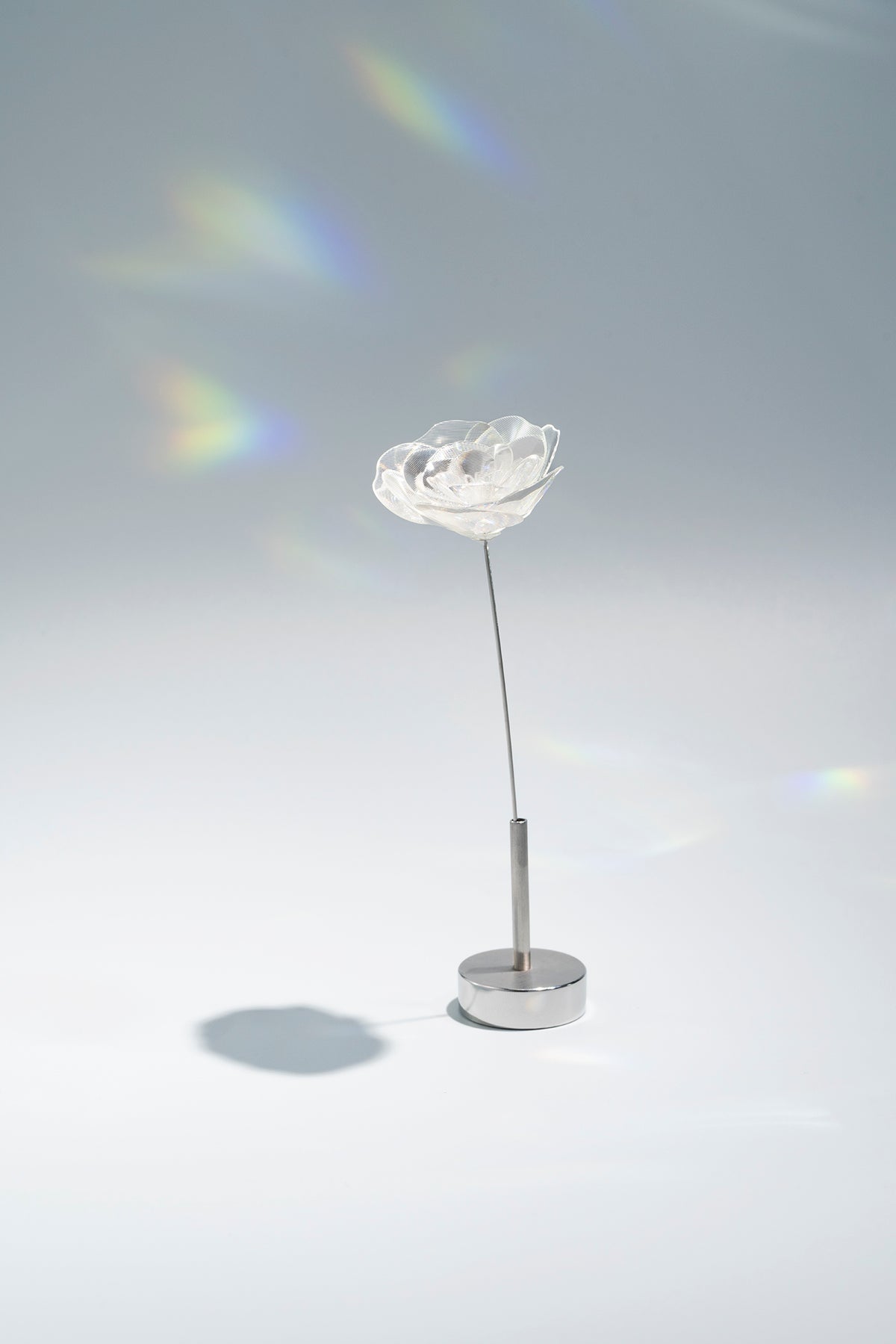 Prism Flower #1 / Ranunculus (S)