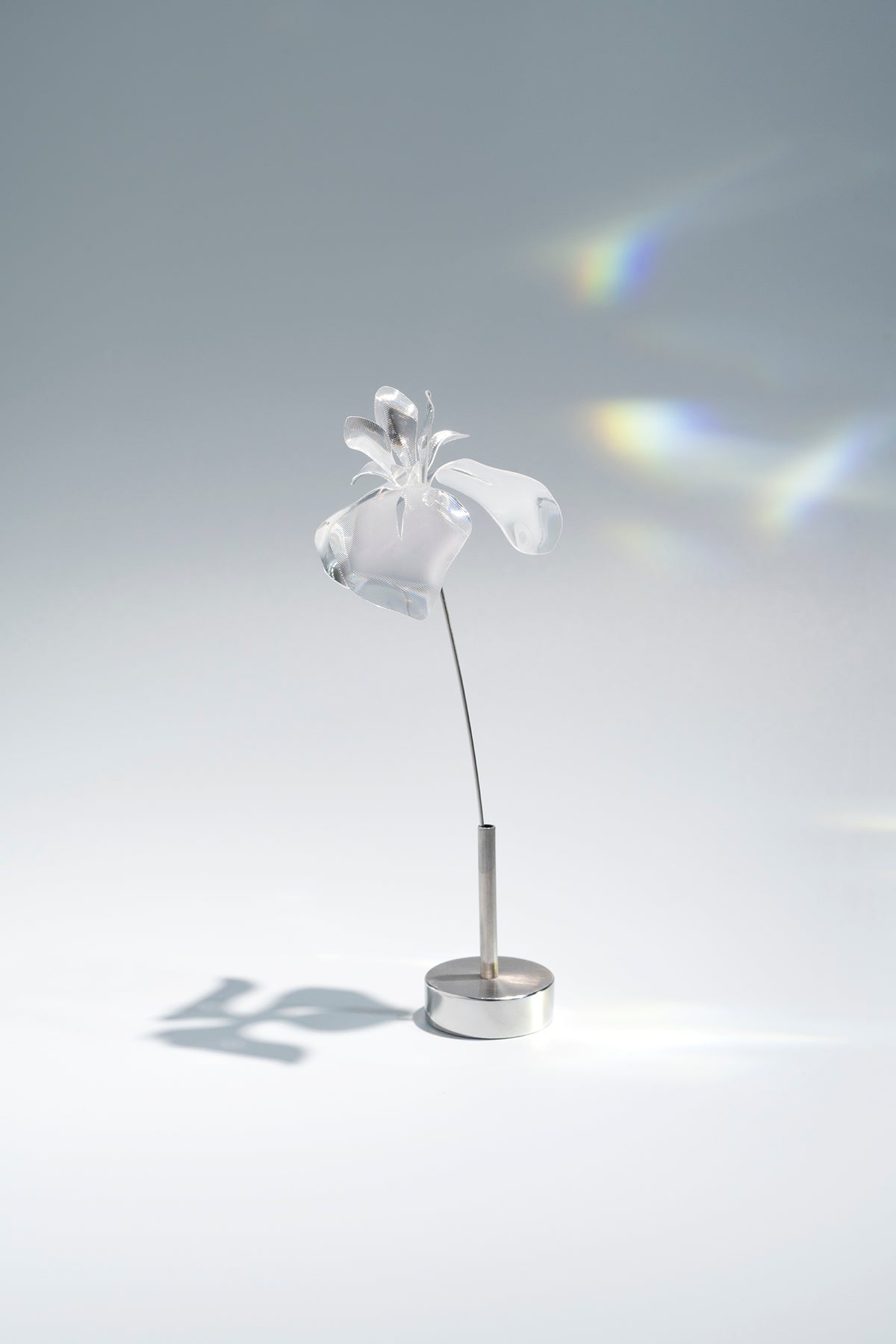 Prism Flower #1 / Iris (S)