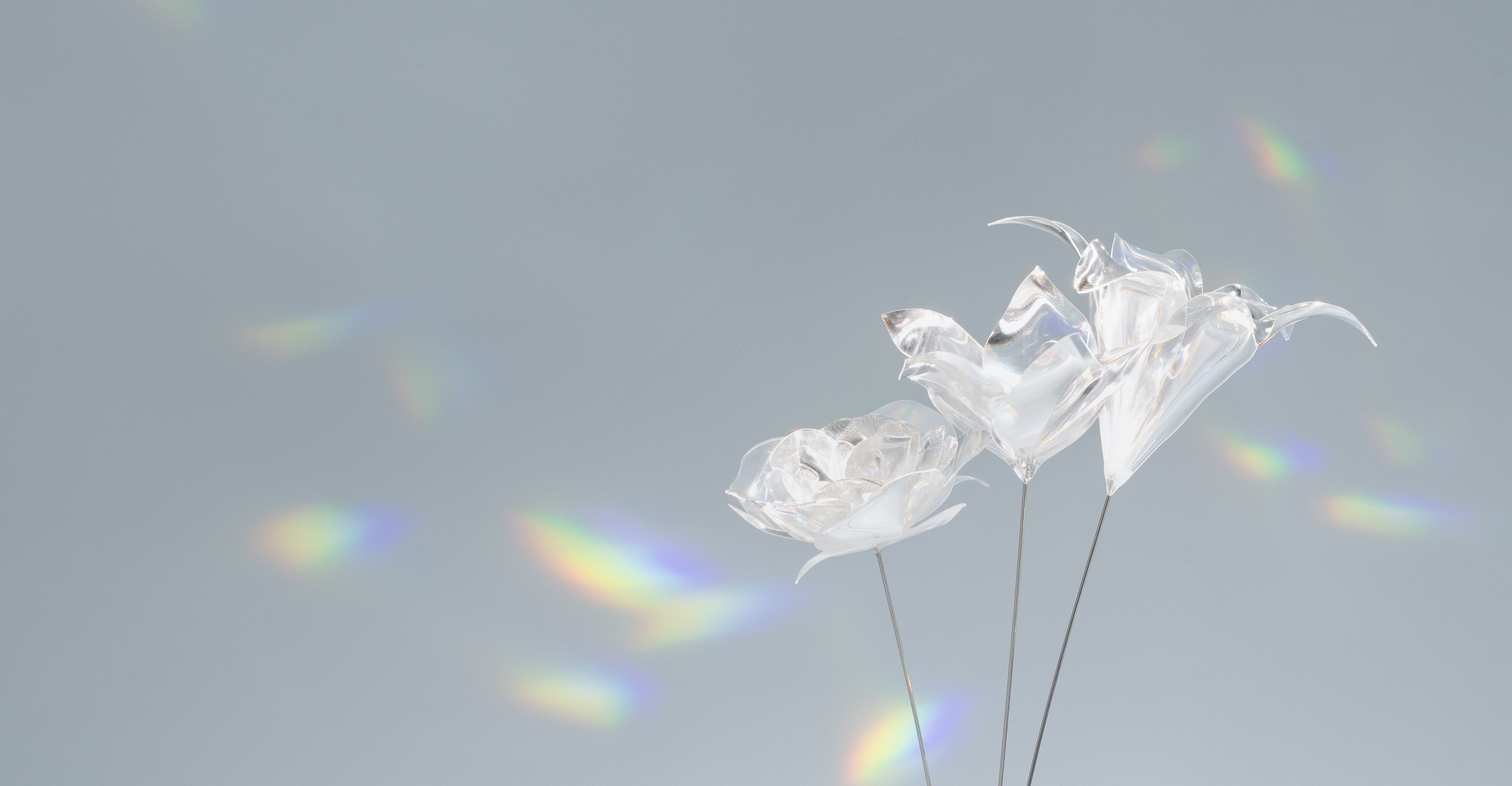 Prism Flower #1