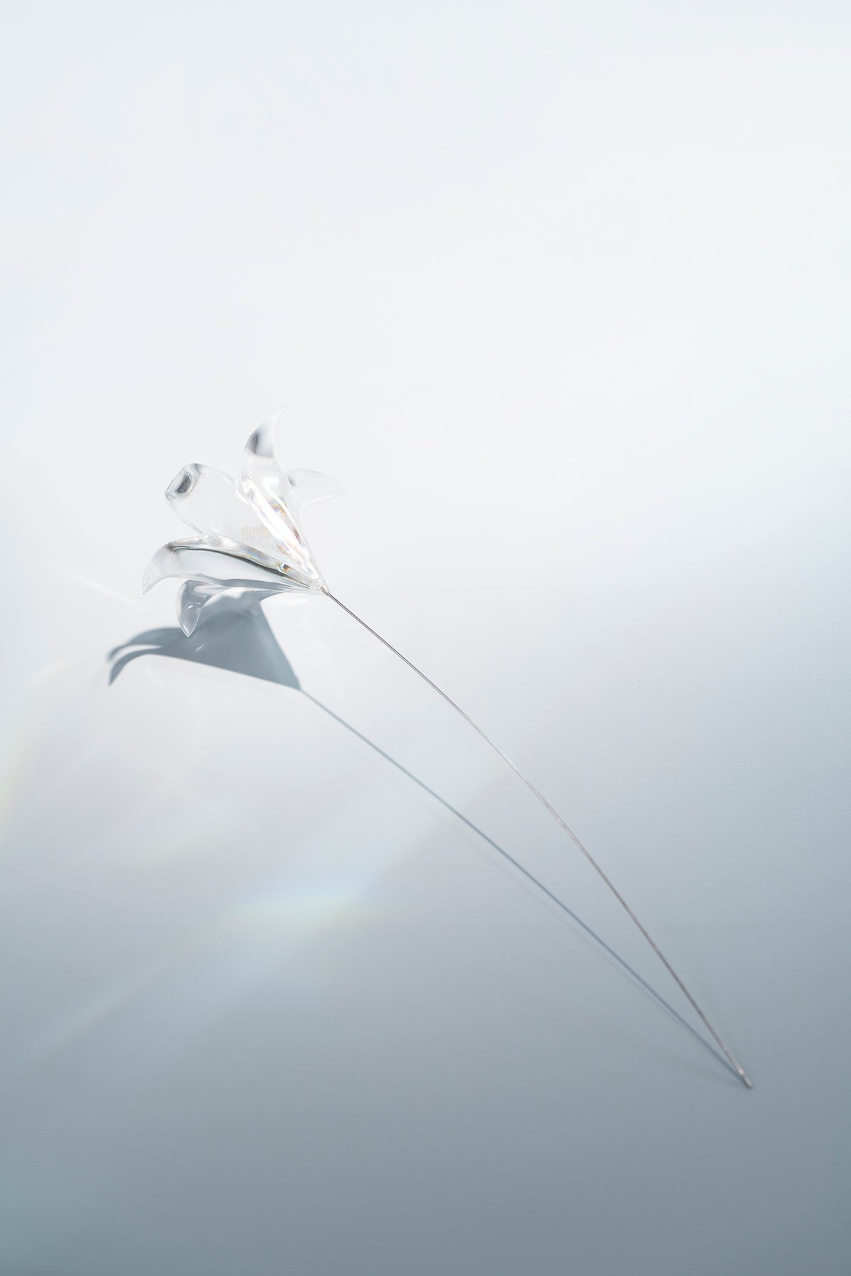 Prism Flower #1 / Lily
