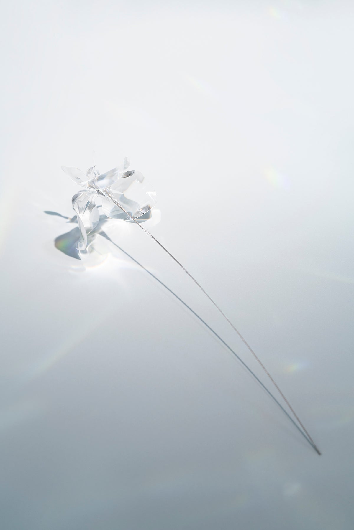 Prism Flower #1 / Iris