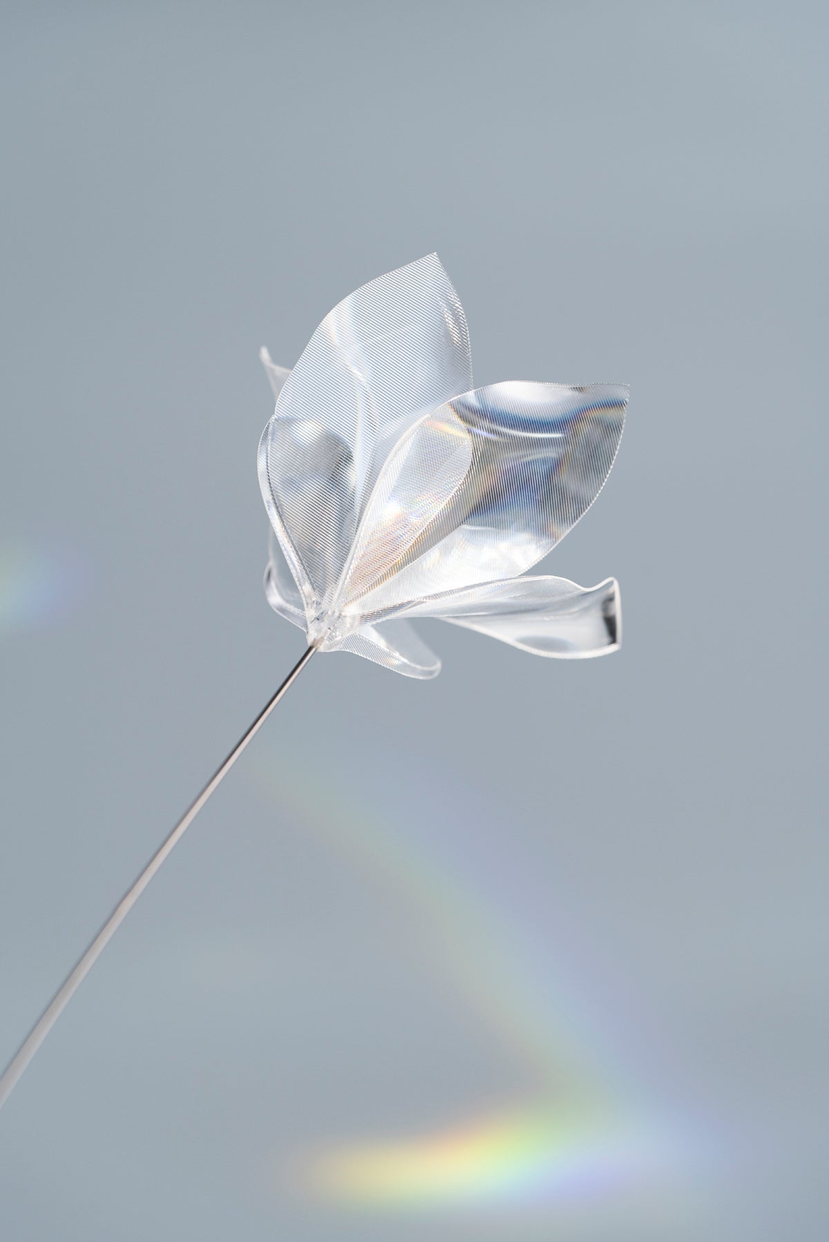 Prism Flower #1 / Kikyo
