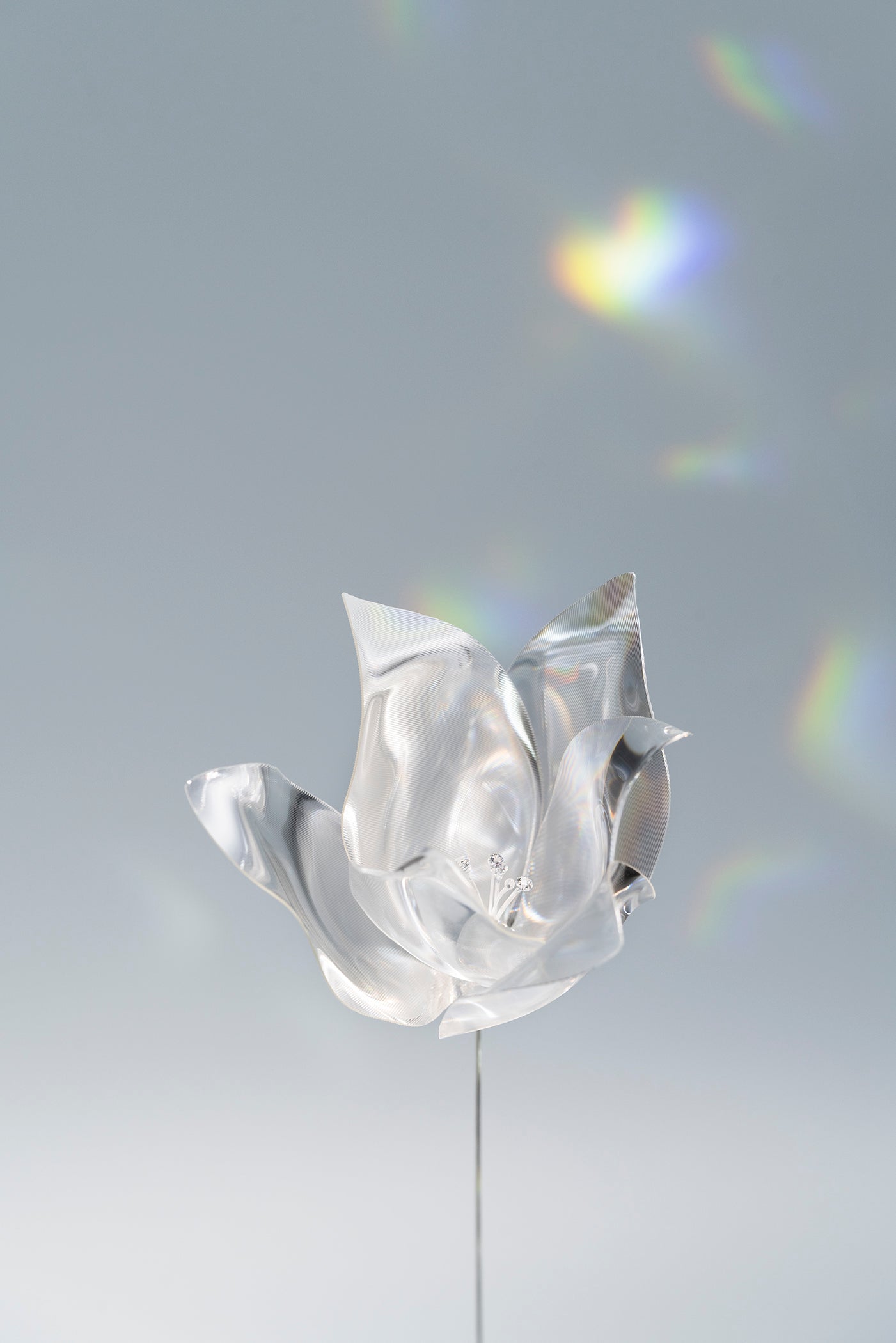 Prism Flower Collection