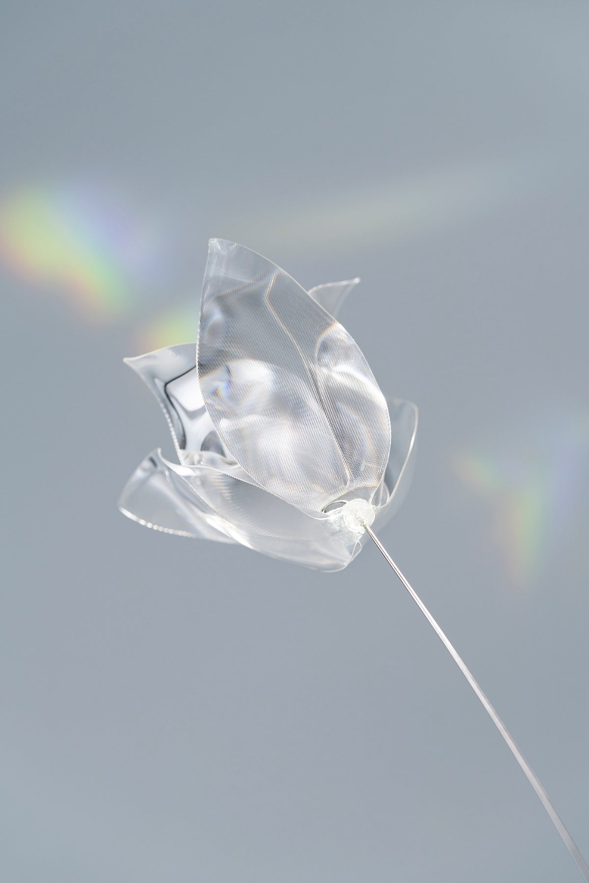 Prism Flower #1 / Tulip