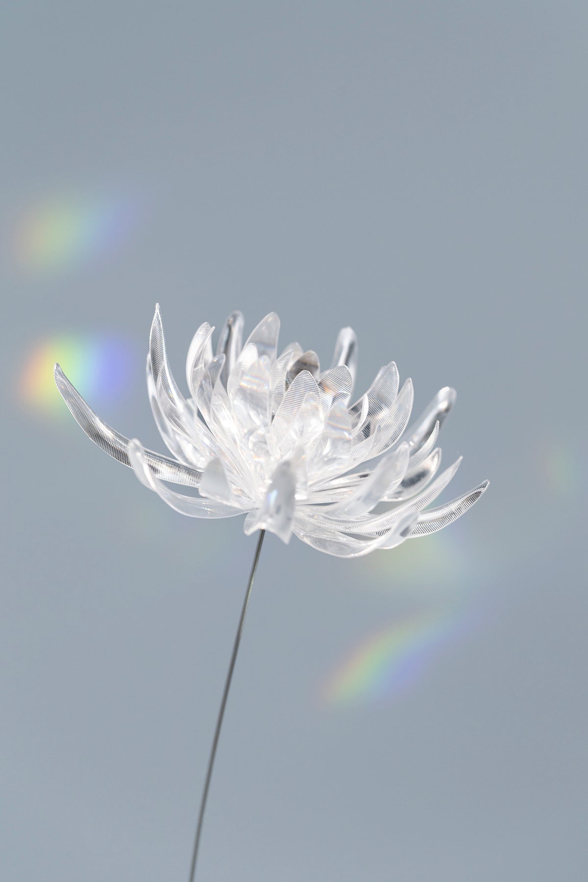 Prism Flower #1 / Wakiku