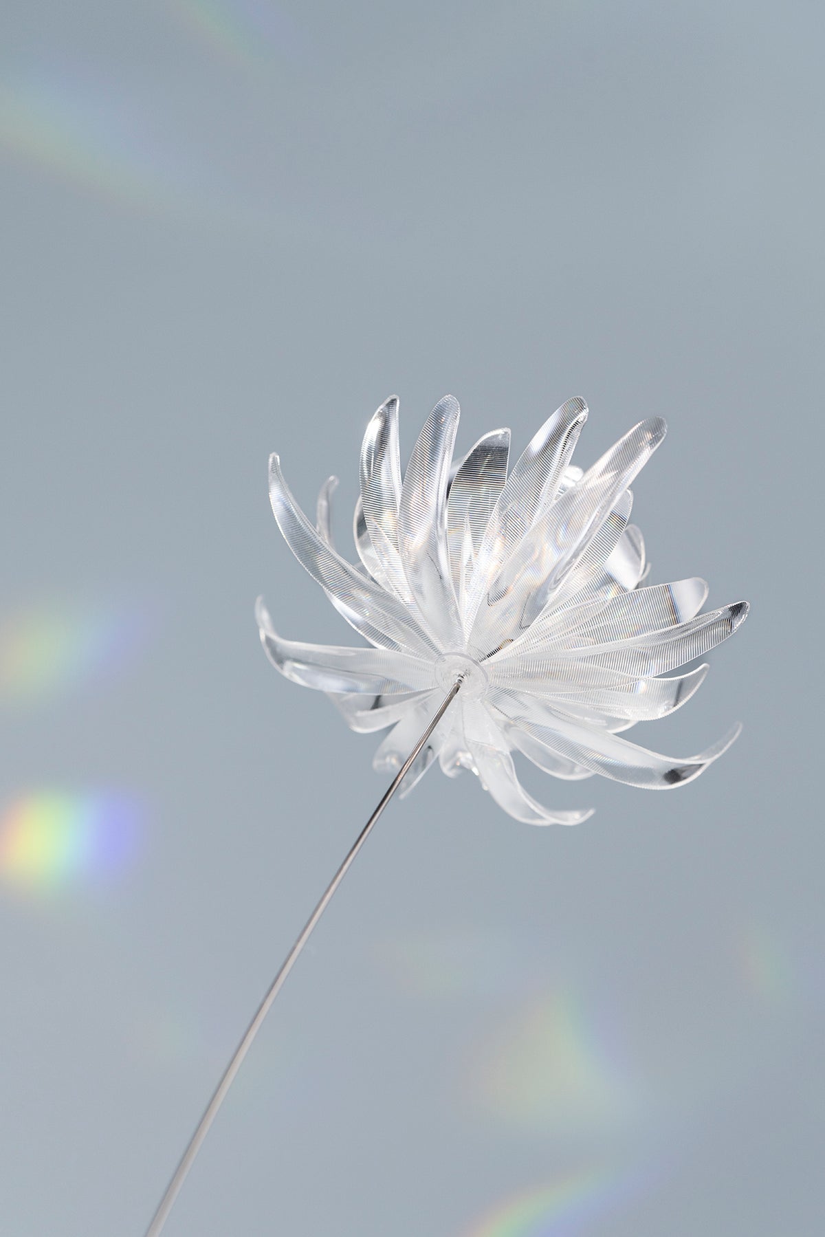 Prism Flower #1 / Wakiku