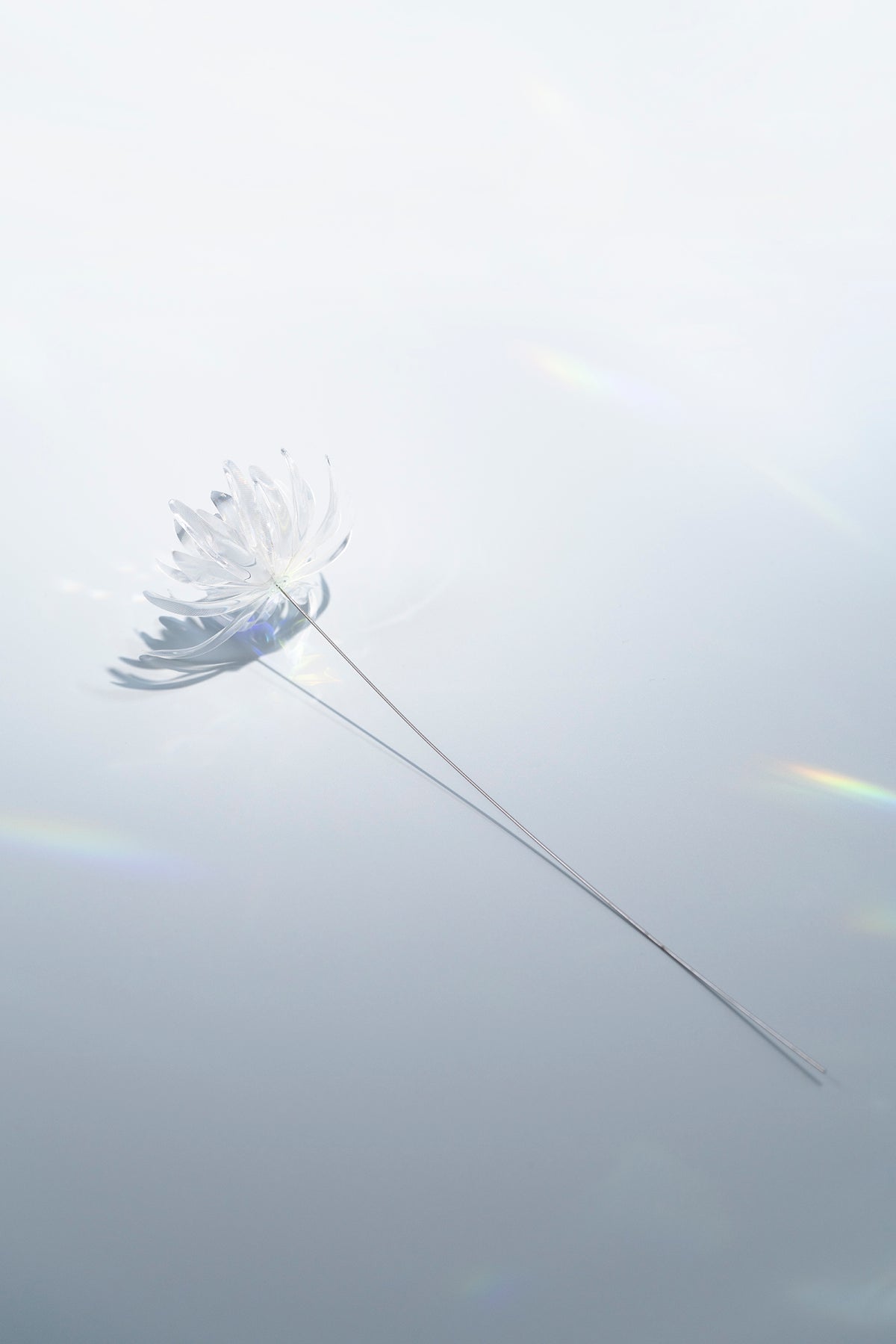 Prism Flower #1 / Wakiku