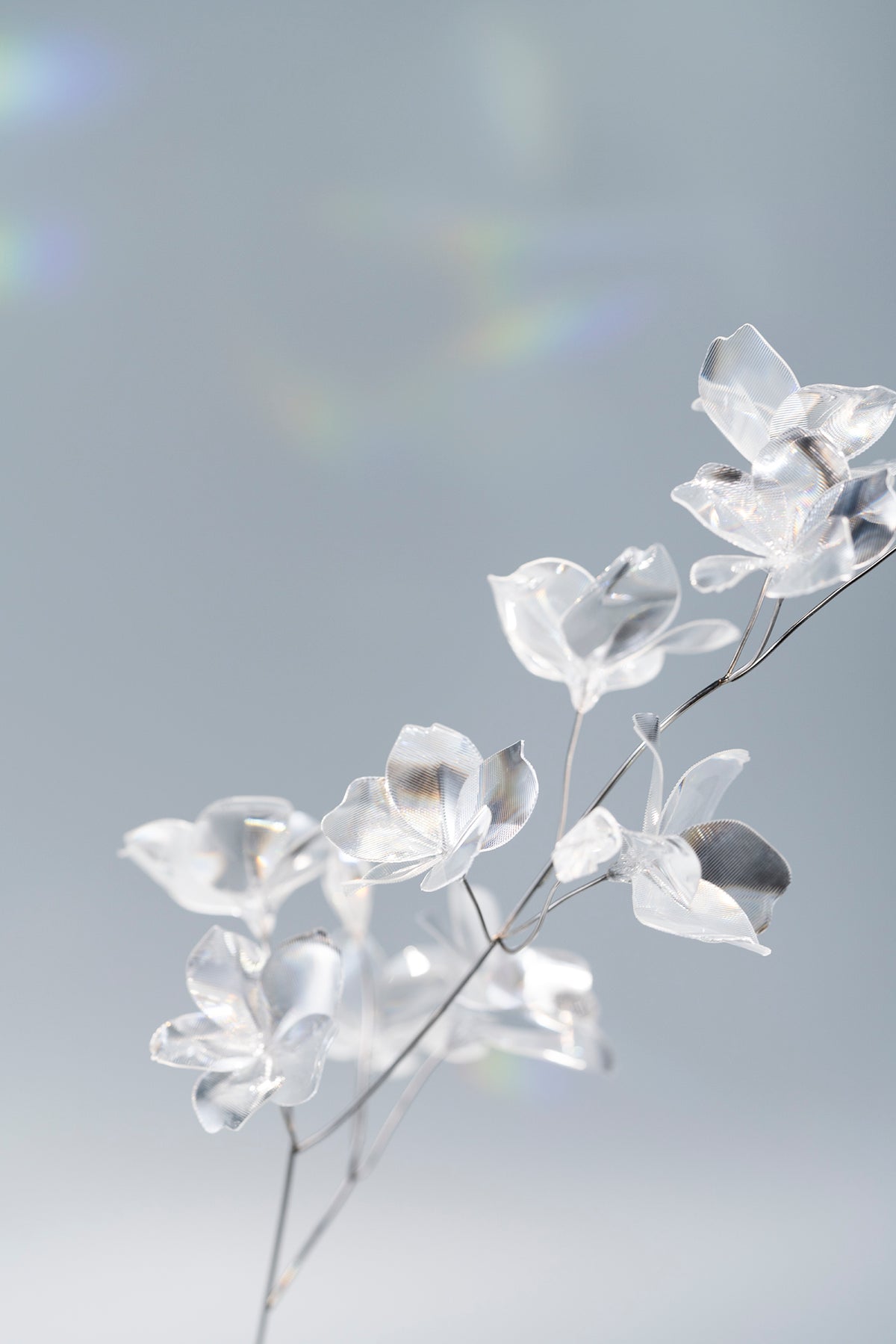 Prism Flower / Sakura-Ⅰ
