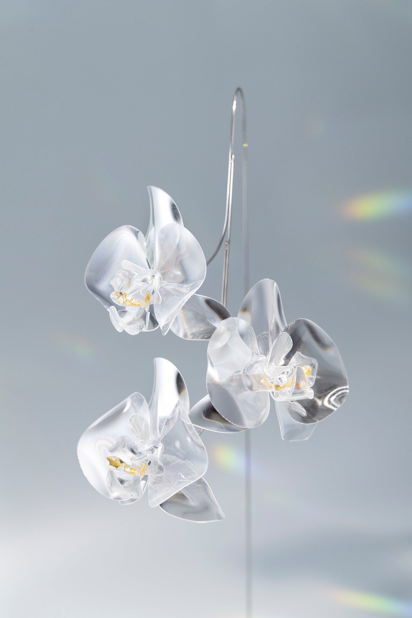 Prism Flower Collection