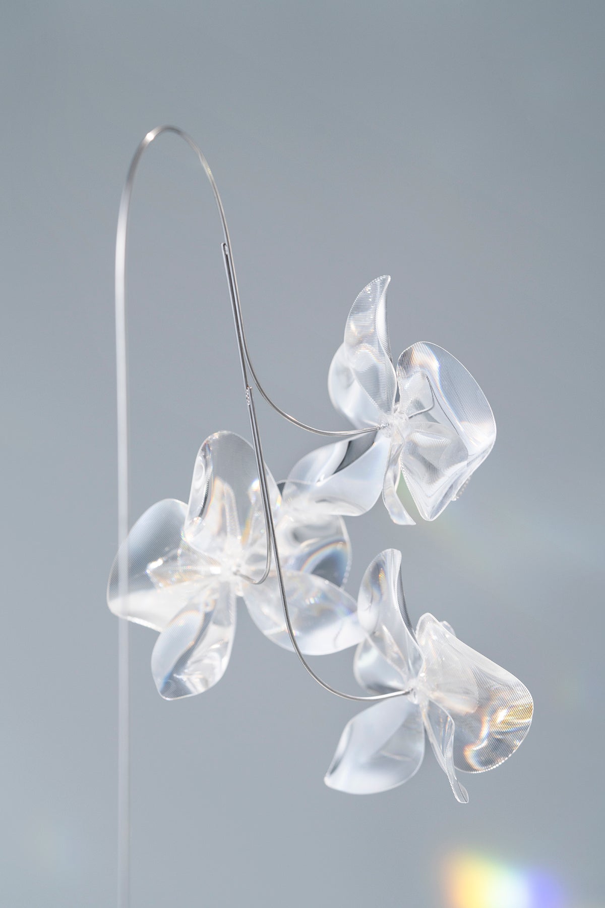 Prism Flower #1 / Kocho-ran 3