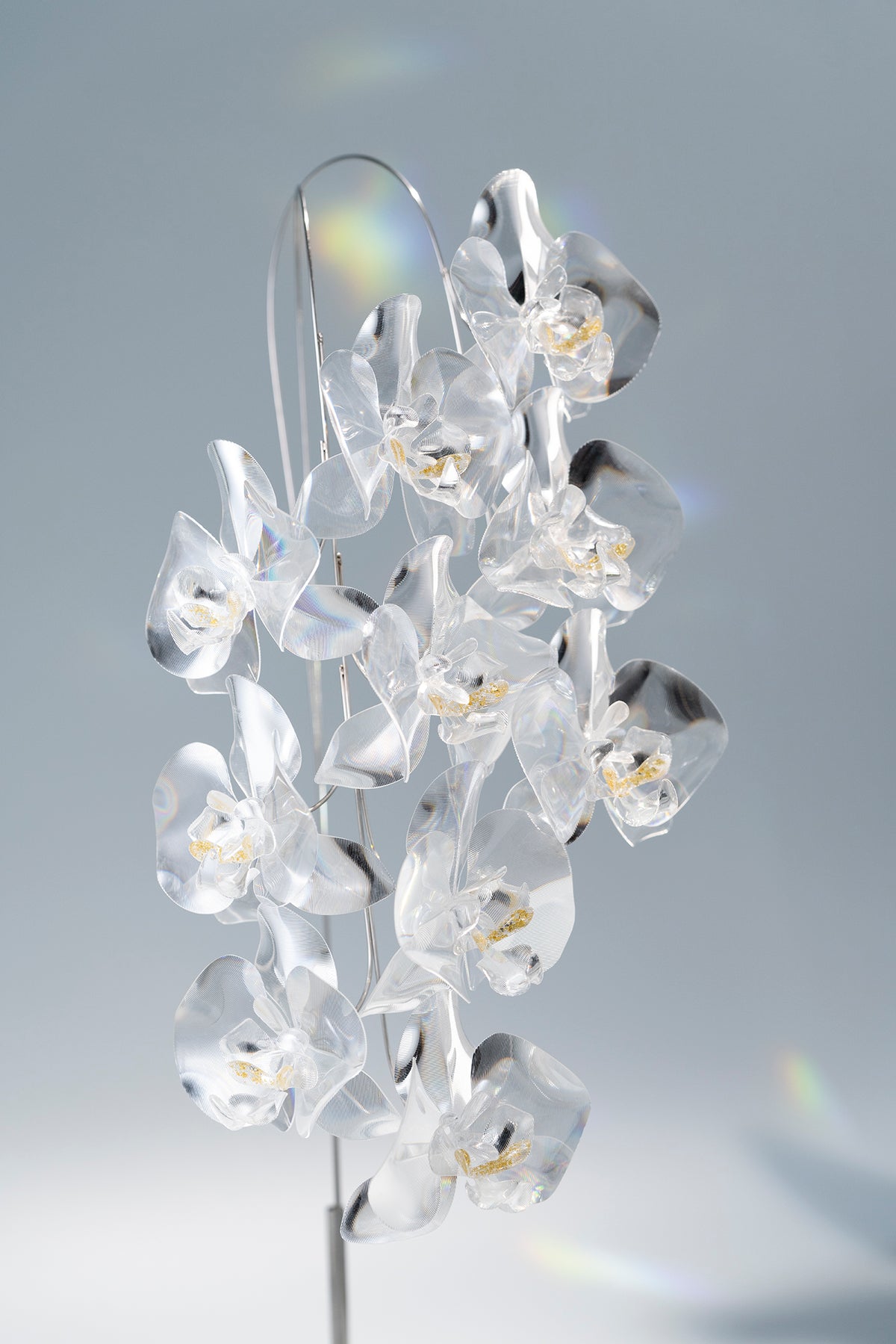 Prism Flower #3 / Set-No.02　Kocho-ran + Metal Vase L
