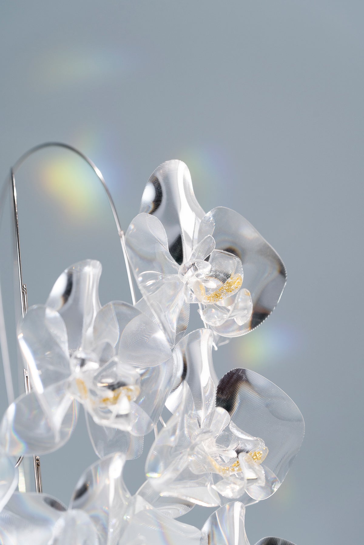 Prism Flower #3 / Set-No.02　Kocho-ran + Metal Vase L