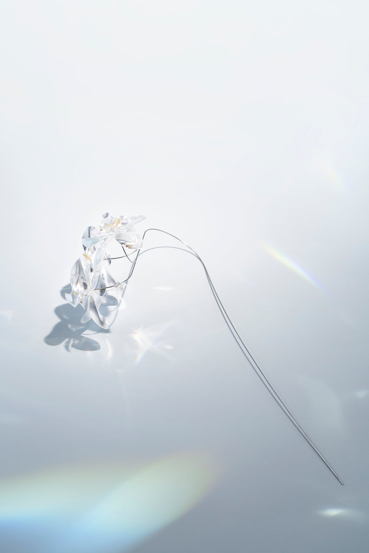 Prism Flower #1 / Kocho-ran 3