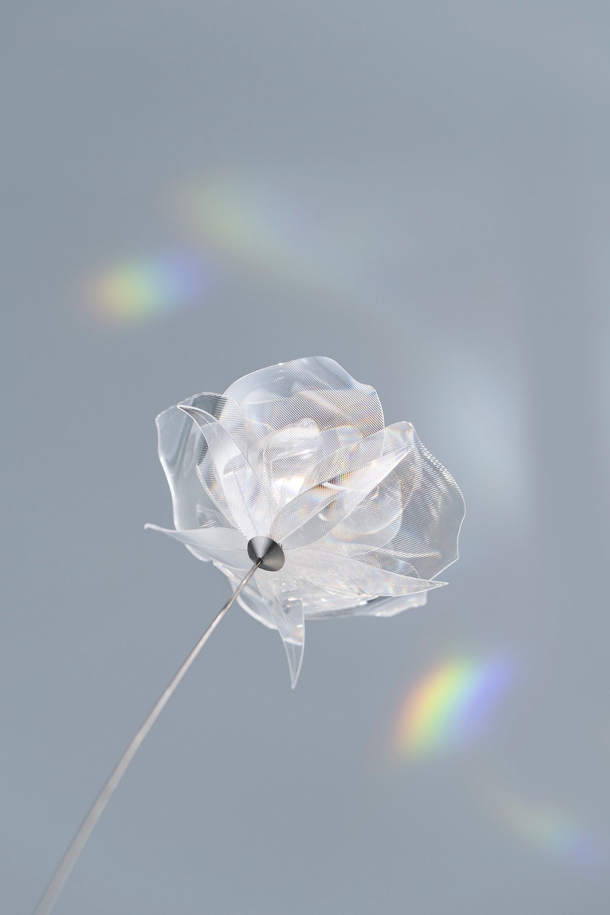 Prism Flower #1 / Rose