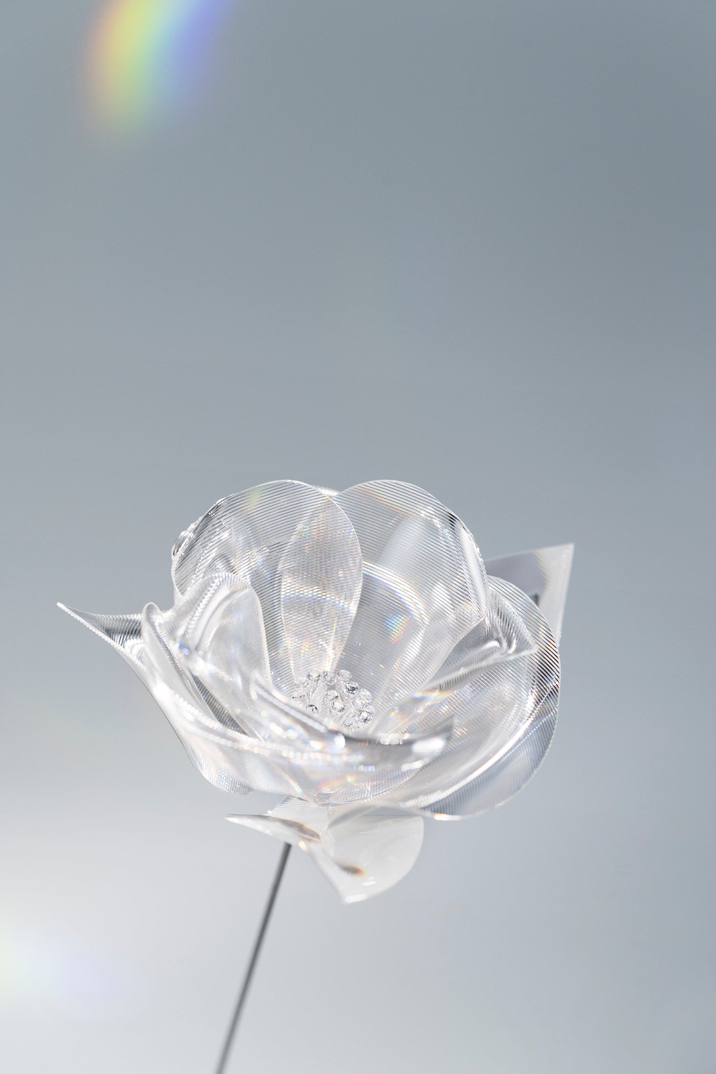 Prism Flower Collection