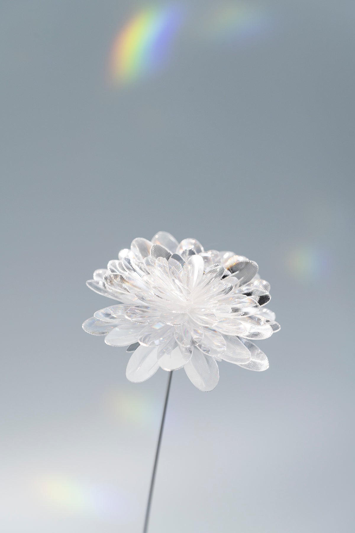 Prism Flower #1 / Kiku