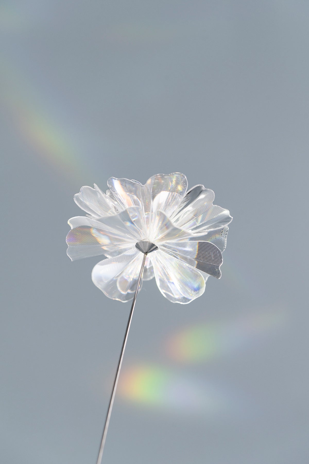 Prism Flower #1 / Marigold