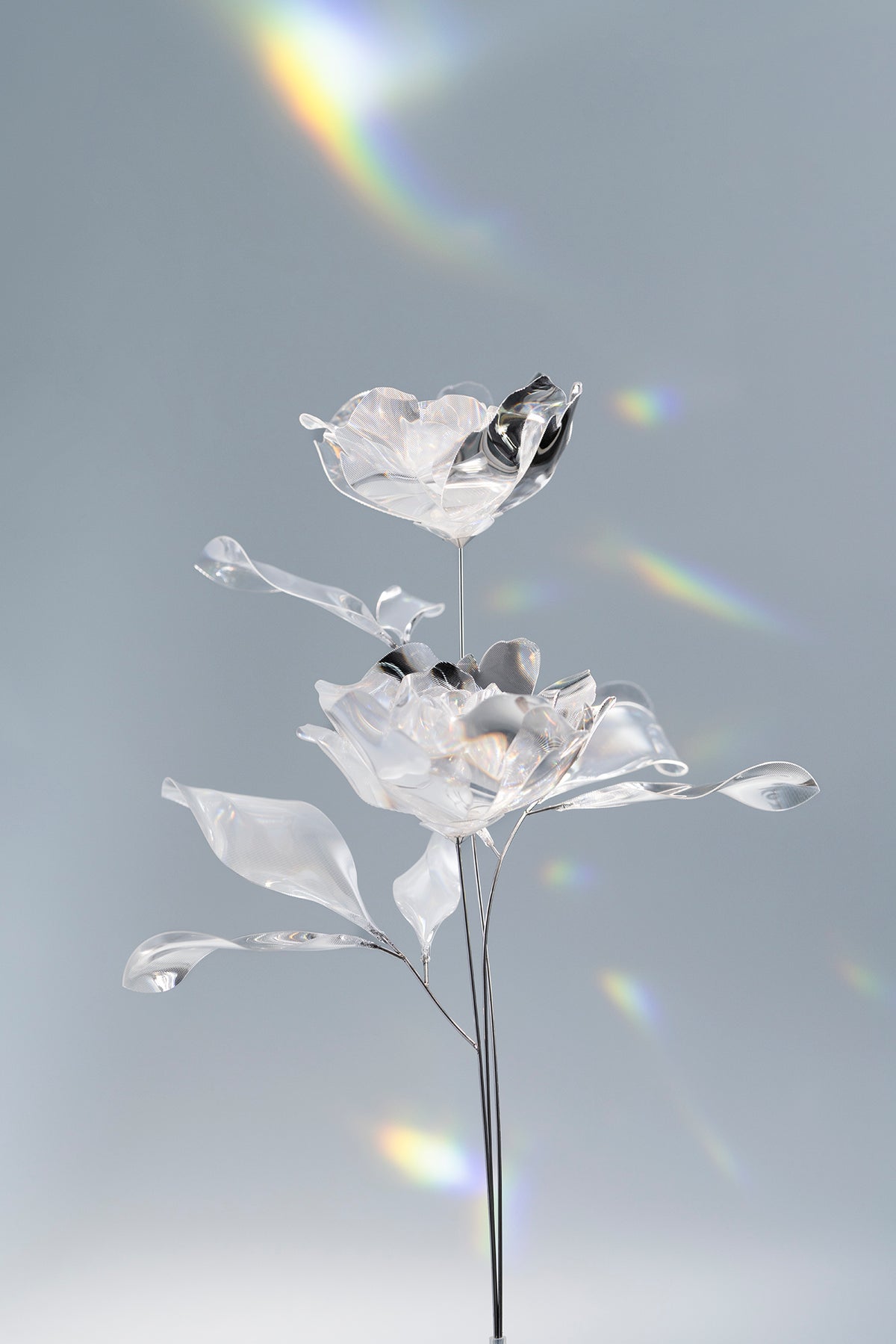 Prism Flower #3 / Set-No.06　Peony + Metal Vase