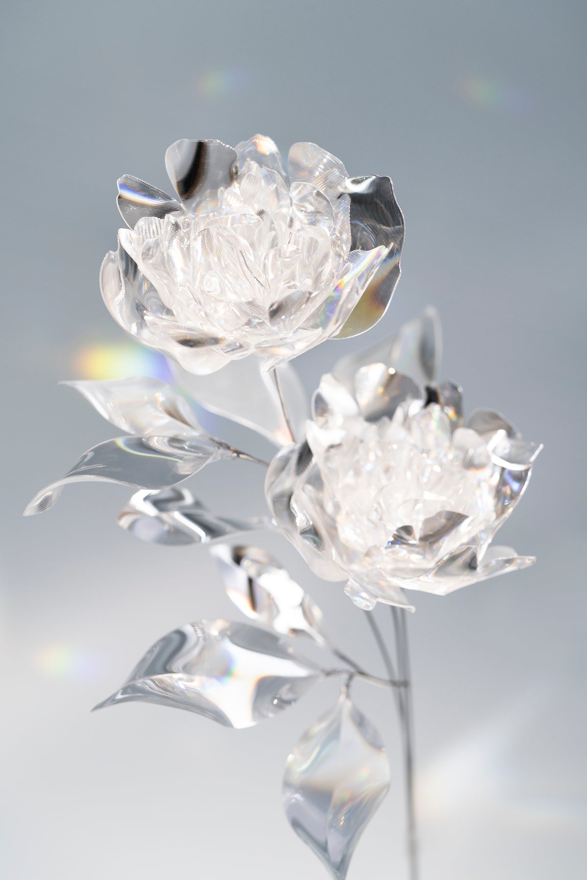 Prism Flower #3 / Set-No.06　Peony + Metal Vase