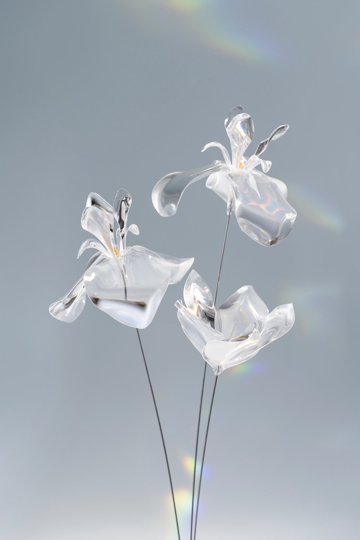 Prism Flower #3 / Set-No.04　Iris / Kikyo + Metal Vase