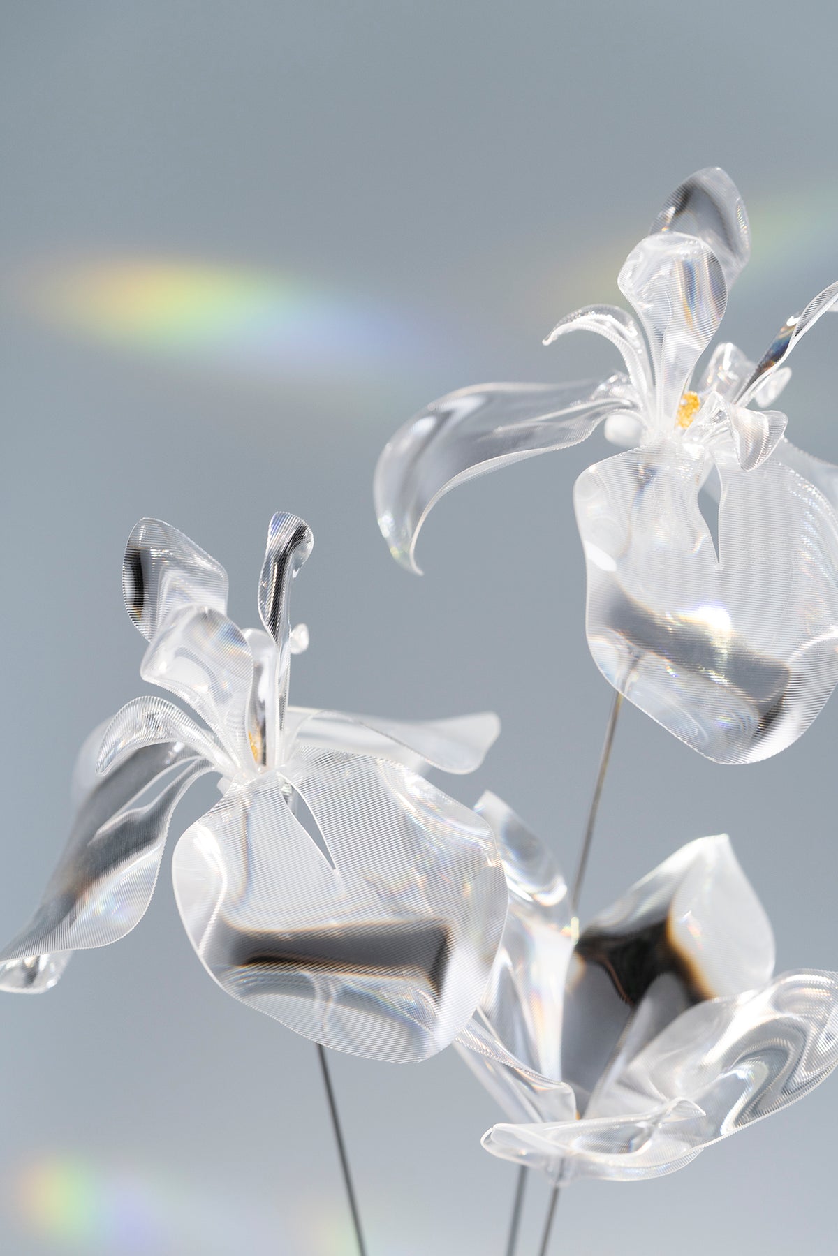 Prism Flower #3 / Set-No.04　Iris / Kikyo + Metal Vase