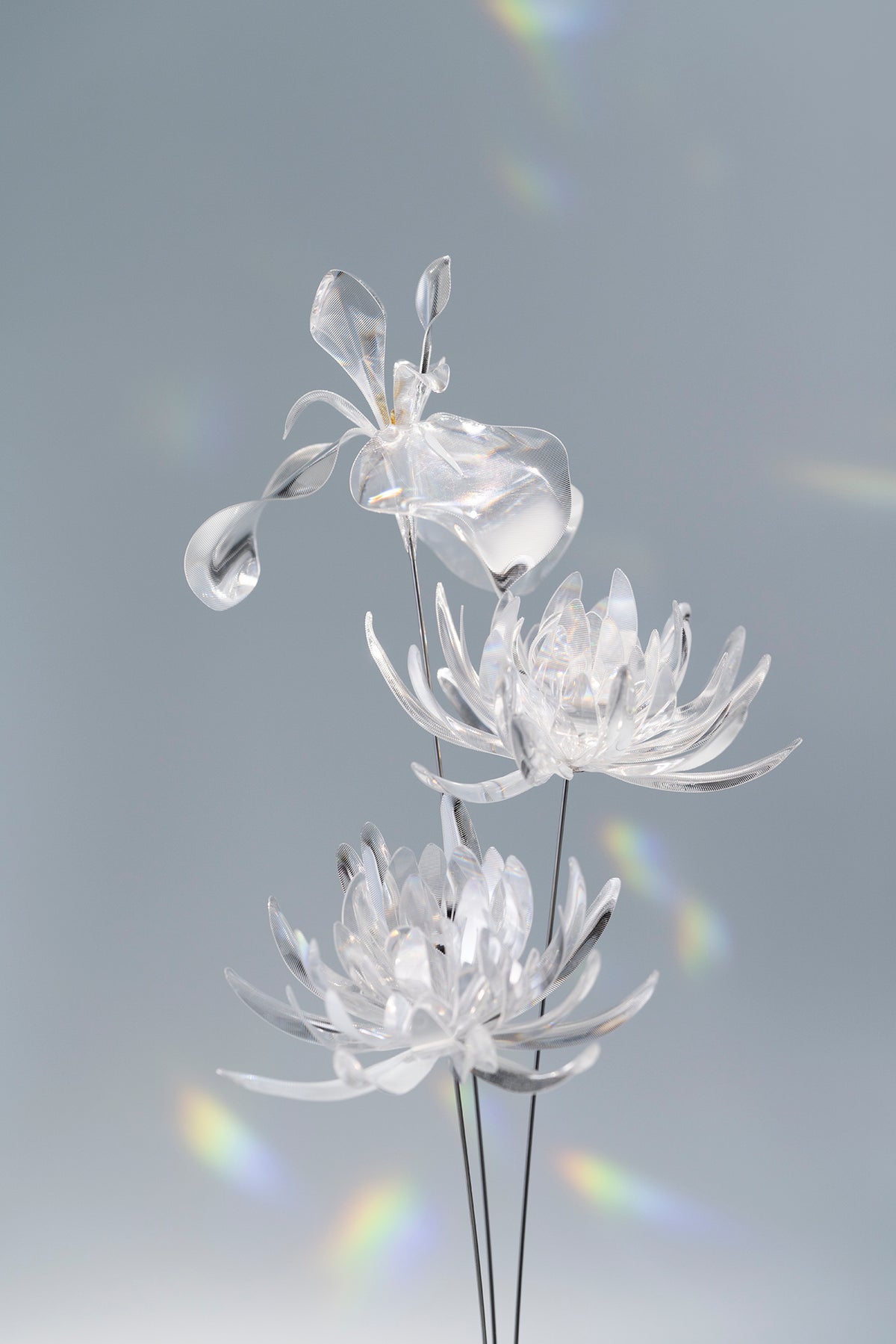 Prism #3 / Set-No.05　Wakiku / Iris + Metal Vase