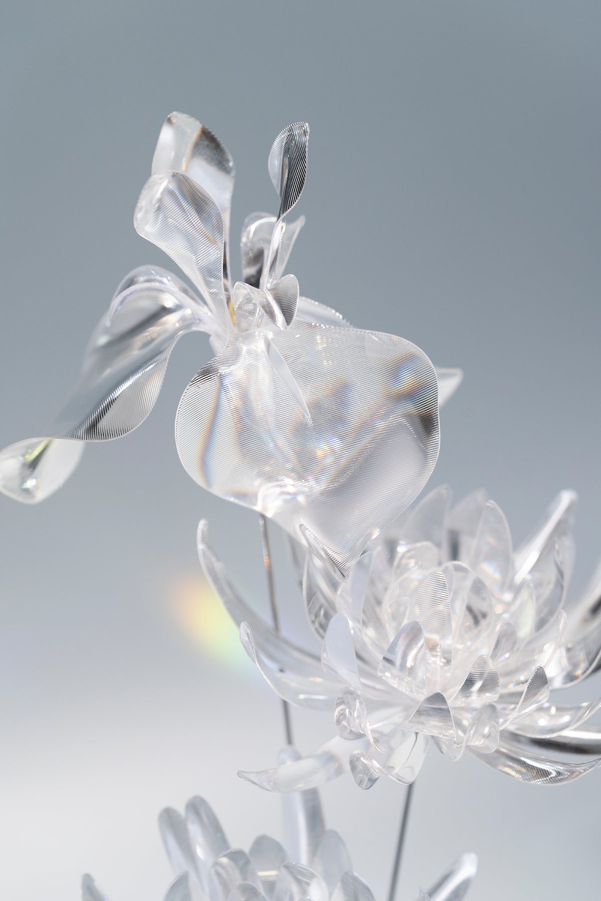 Prism #3 / Set-No.05　Wakiku / Iris + Metal Vase
