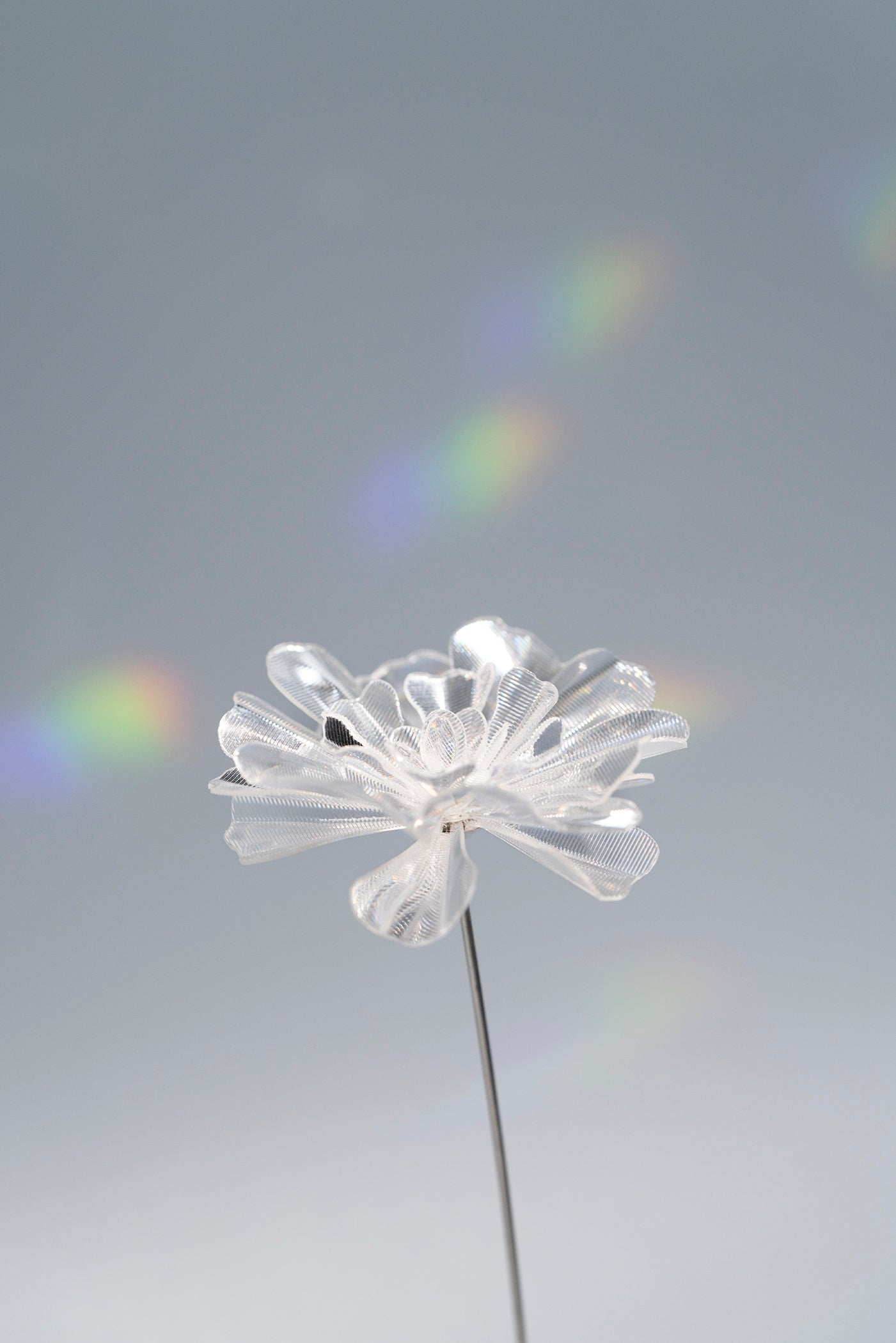 Prism Flower #1（S）
