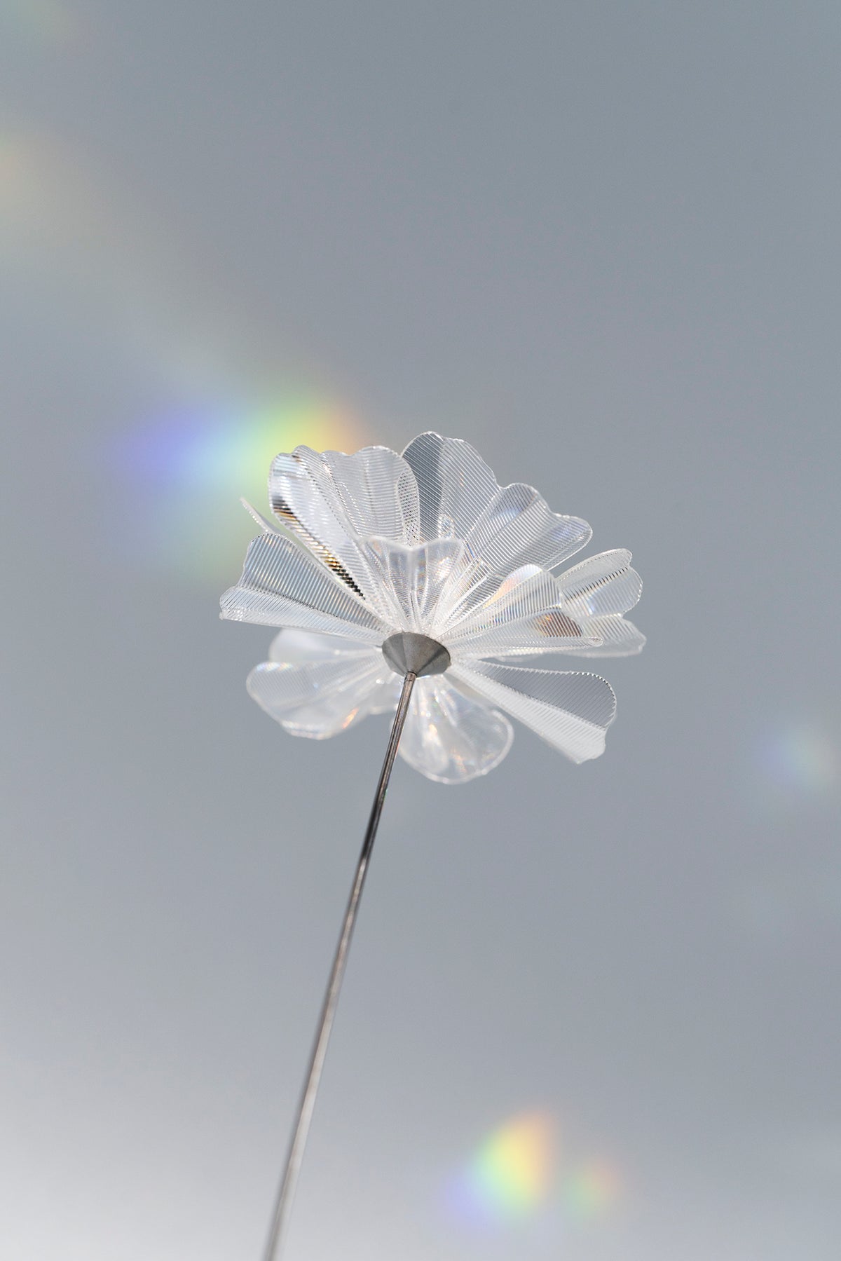 Prism Flower #1 / Marigold (S)
