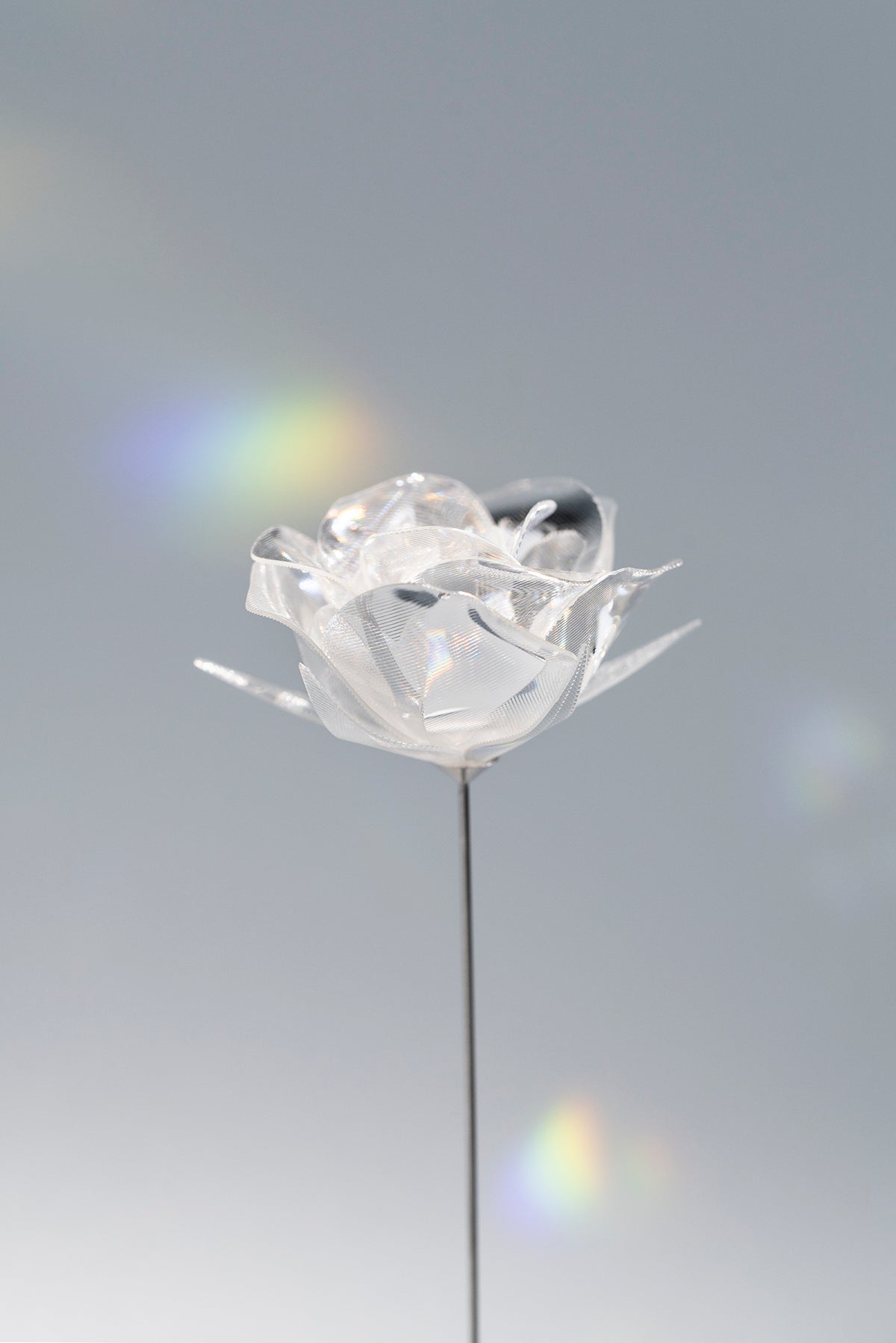 Prism Flower #1 / Rose (S)