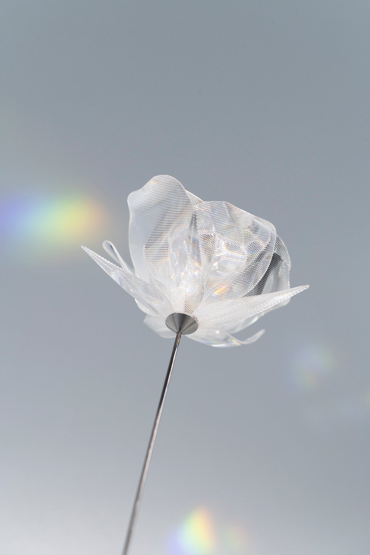 Prism Flower #1 / Rose (S)