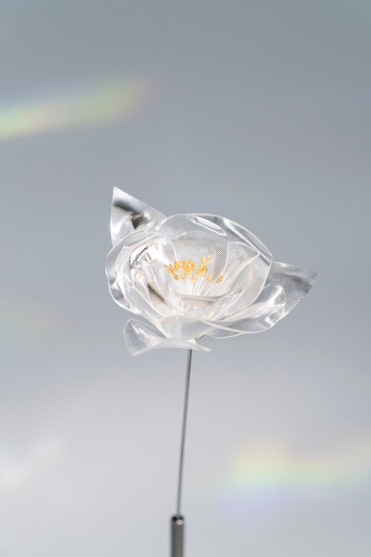 Prism Flower #1 / Camellia (S)