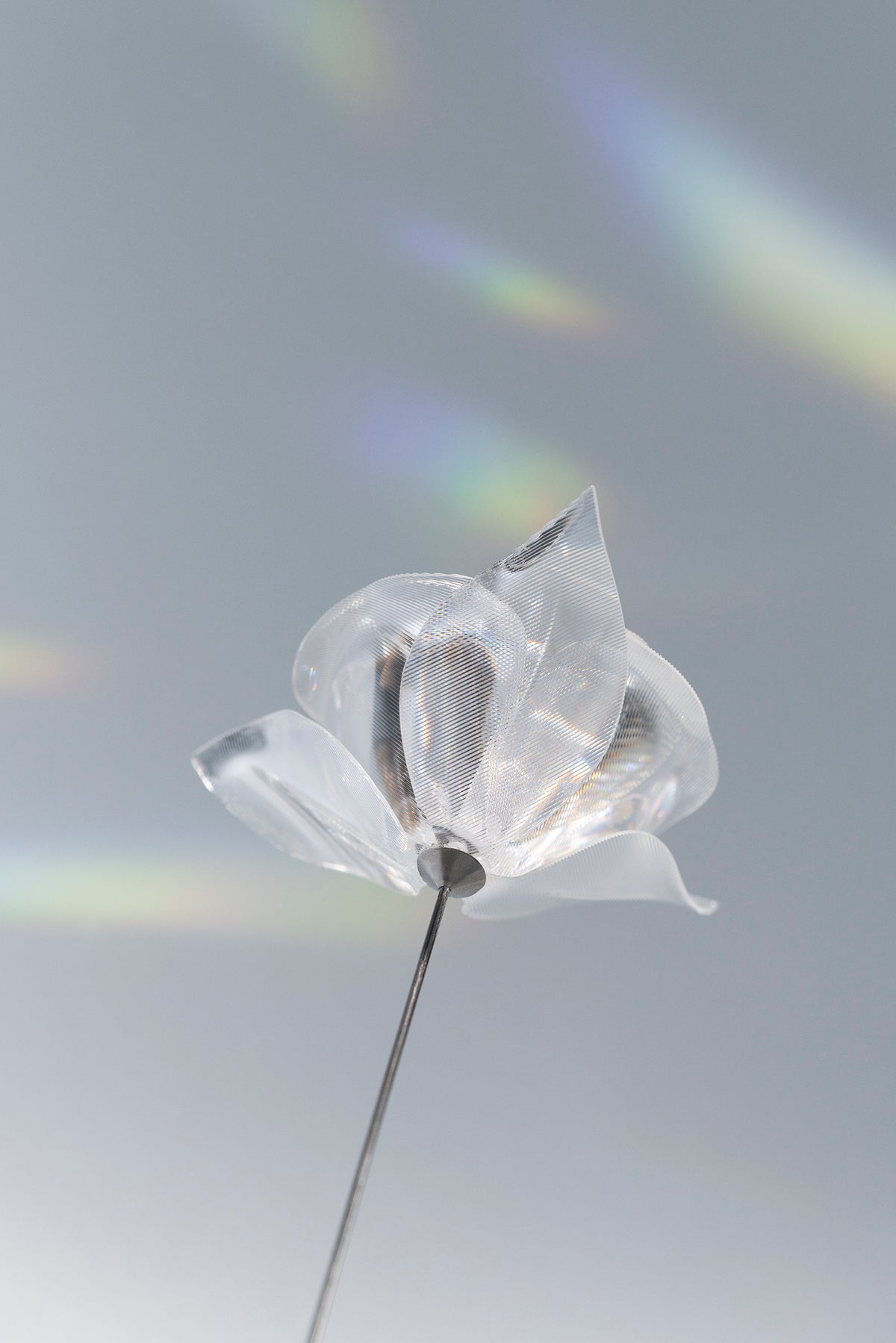 Prism Flower #1 / Camellia (S)