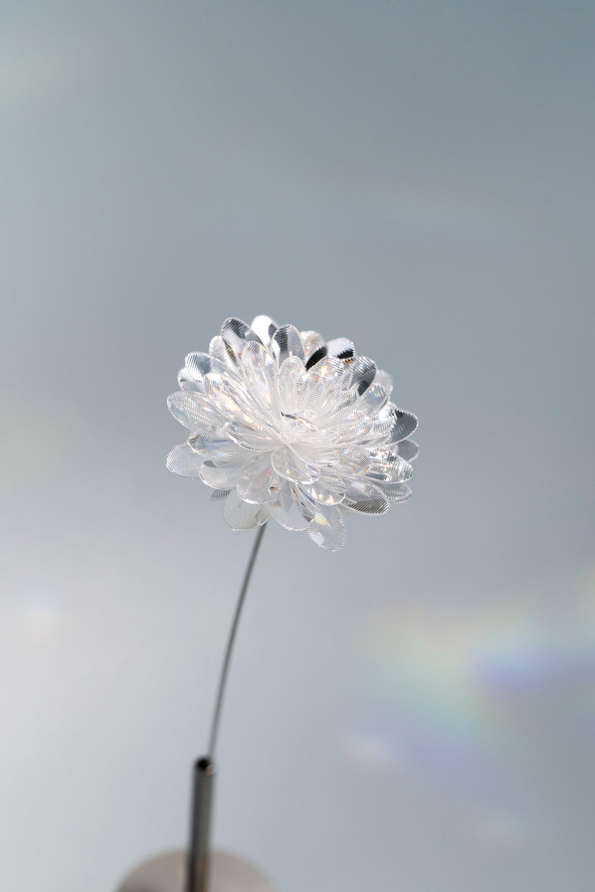 Prism Flower #1 / Kiku (S)
