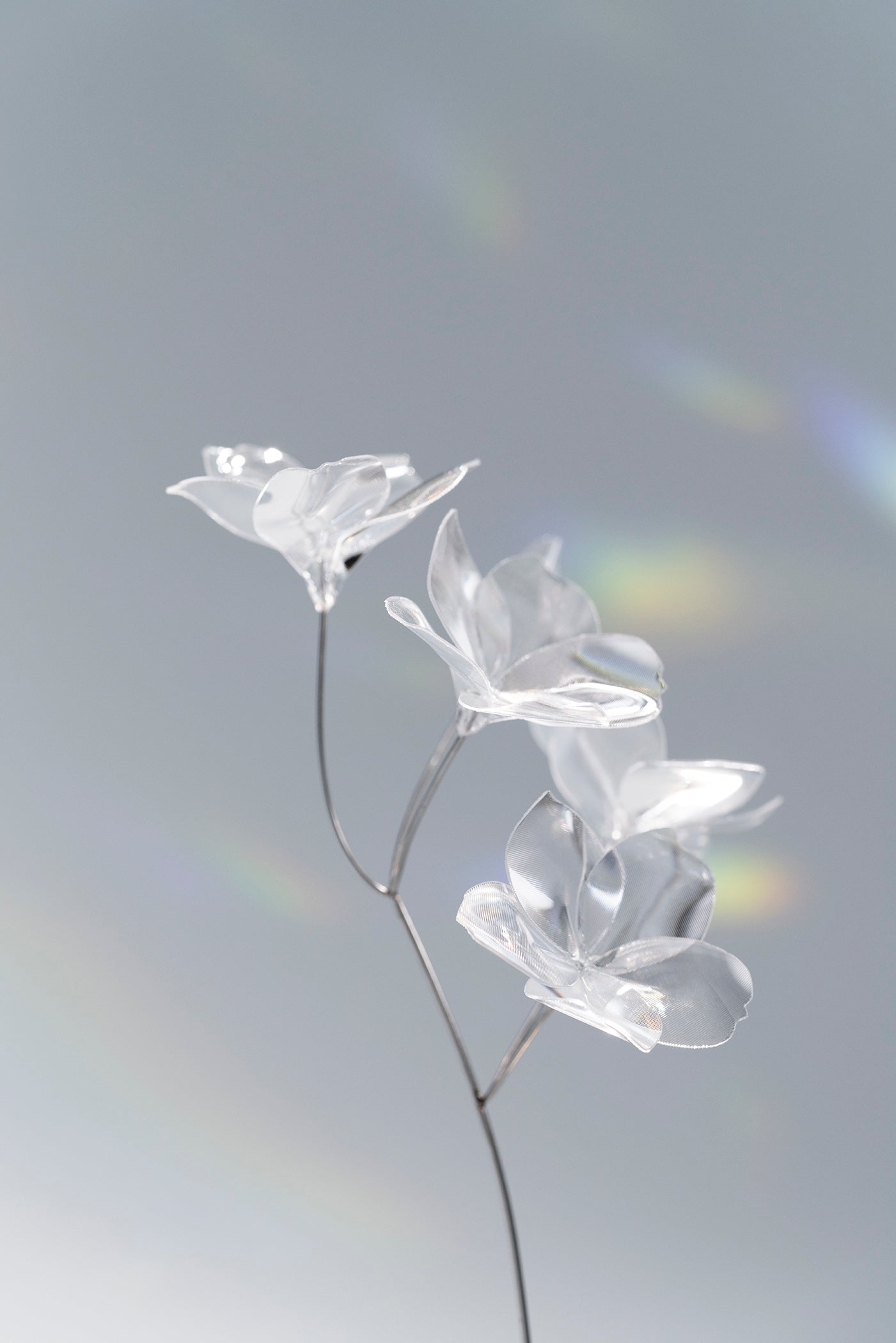 Prism Flower #1（S）
