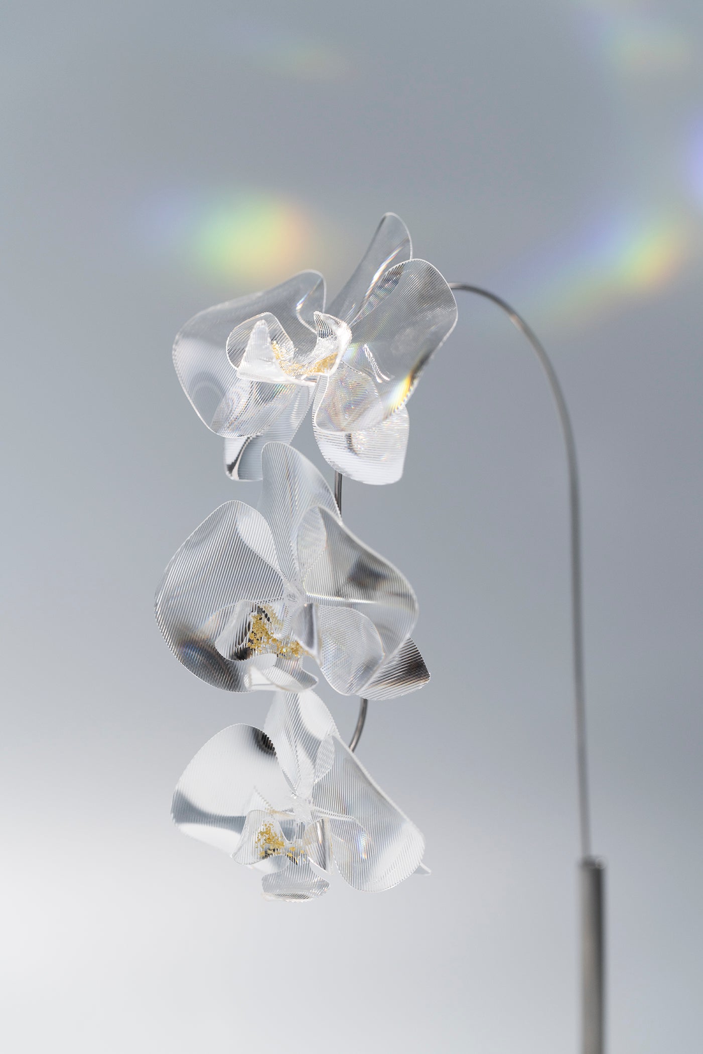 Prism Flower #1（S）