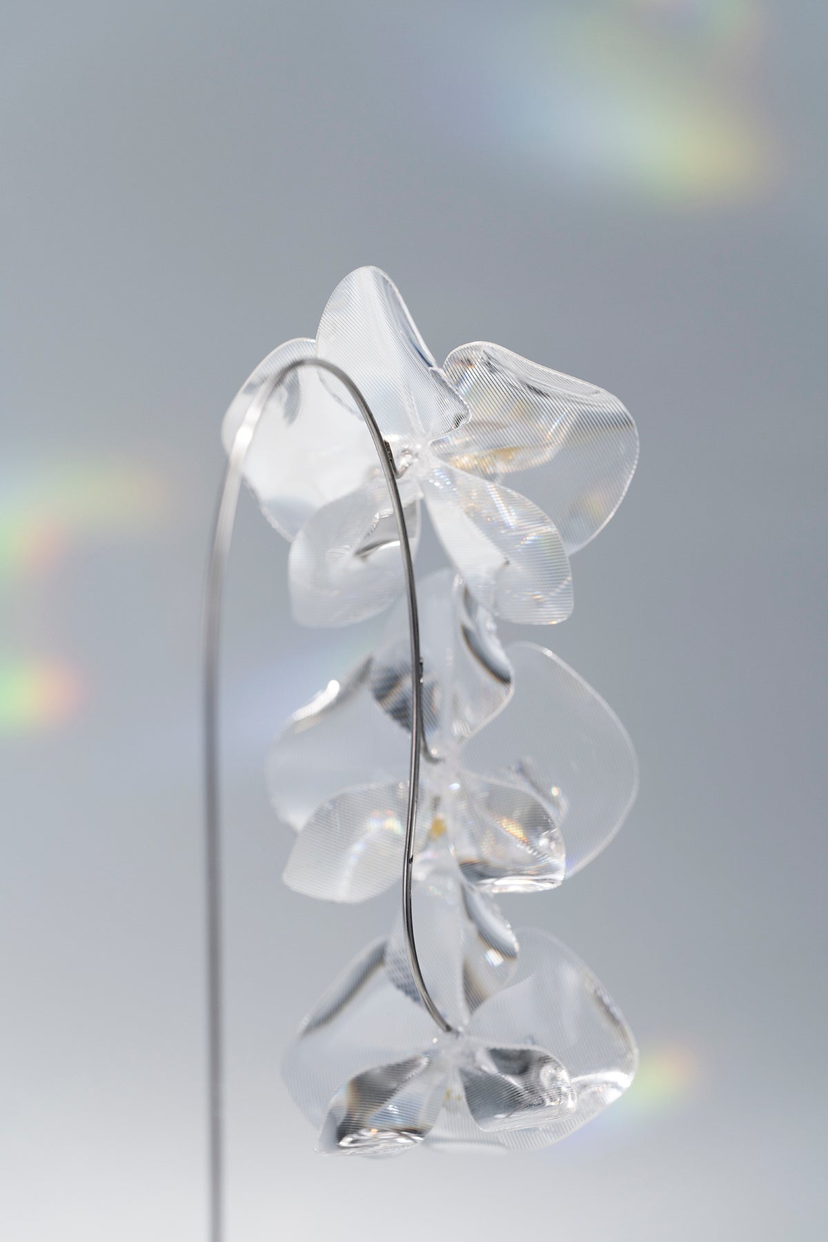 Prism Flower #1 / Kocho-ran 3 (S)