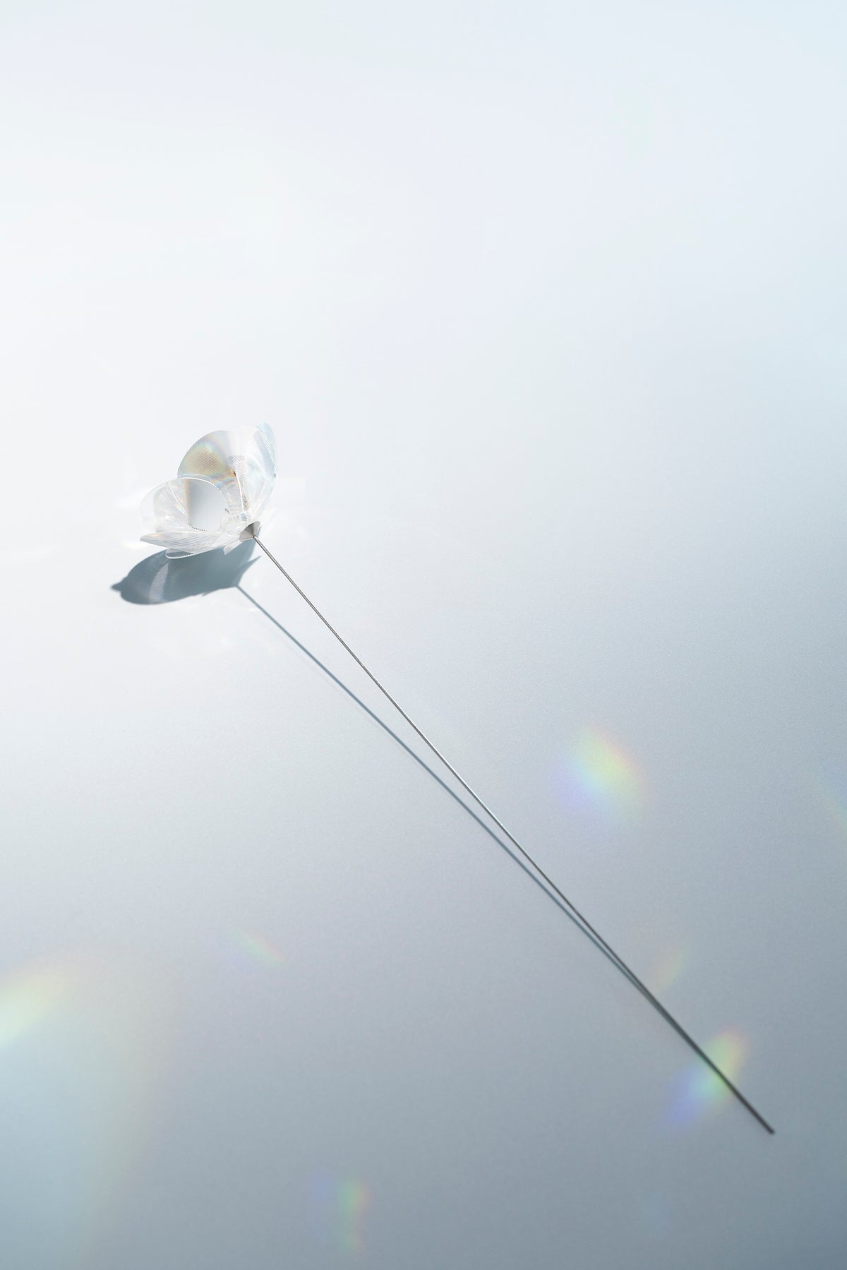 Prism Flower #1 / Ranunculus