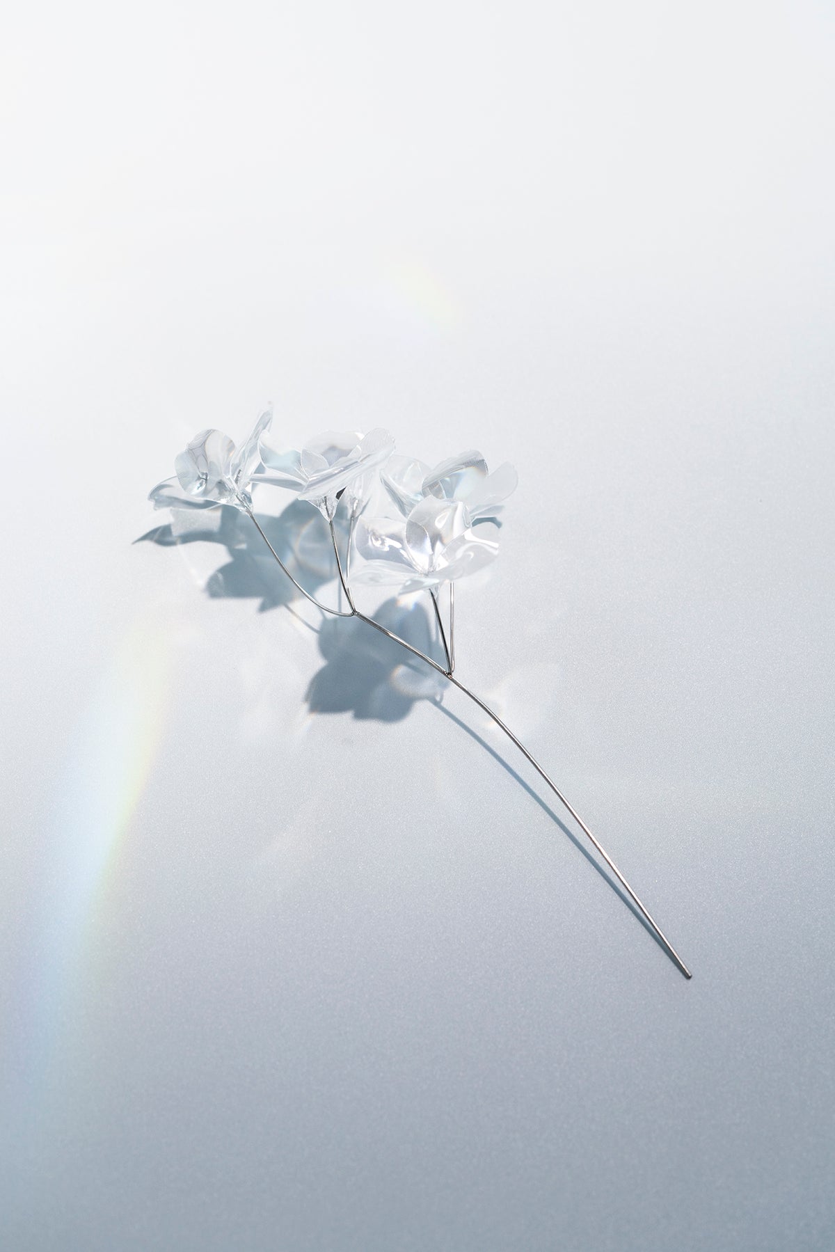 Prism Flower #1 / Sakura (S)