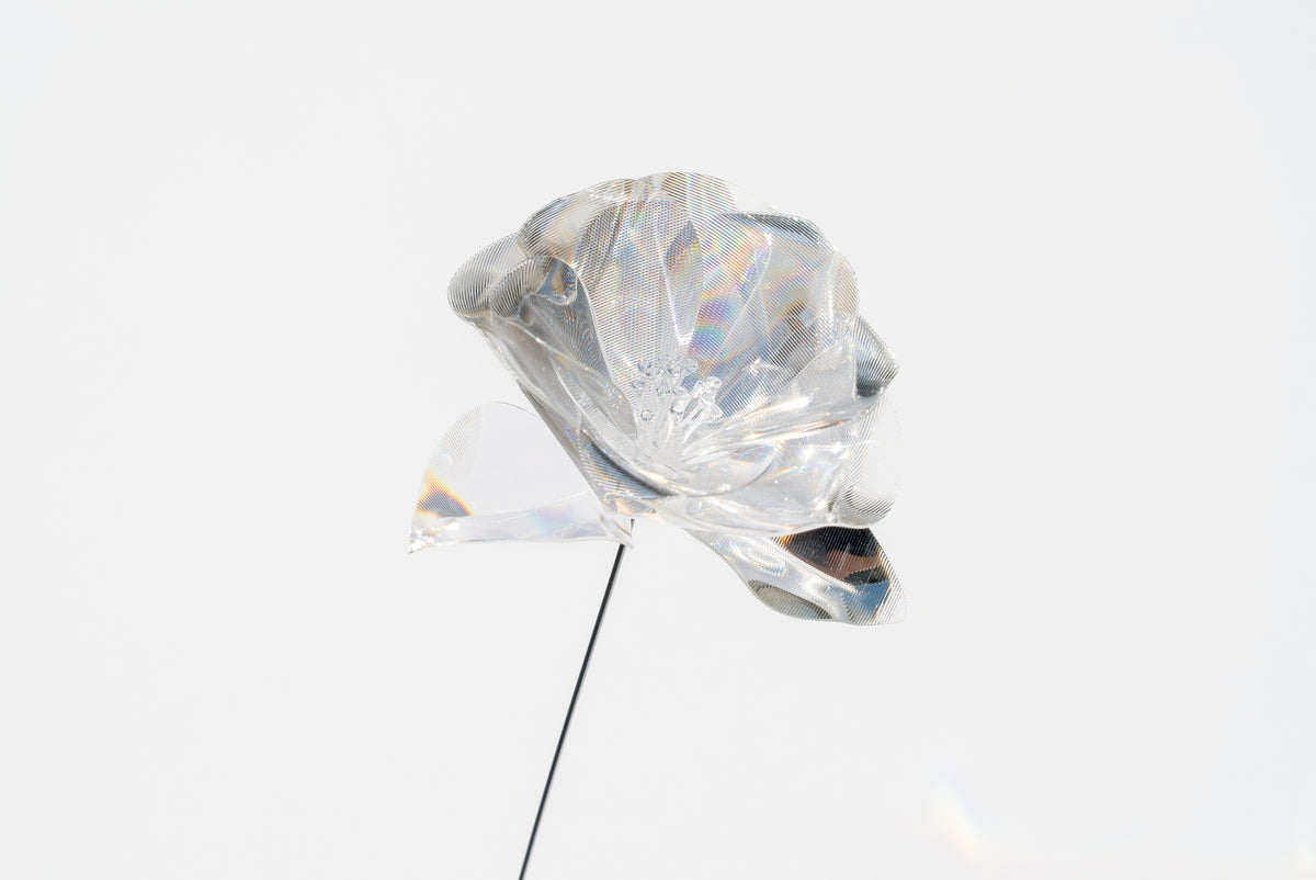 Prism Flower #1 / Camellia