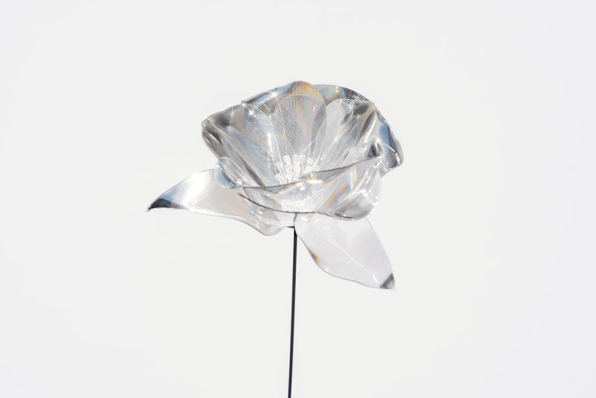 Prism Flower #1 / Camellia